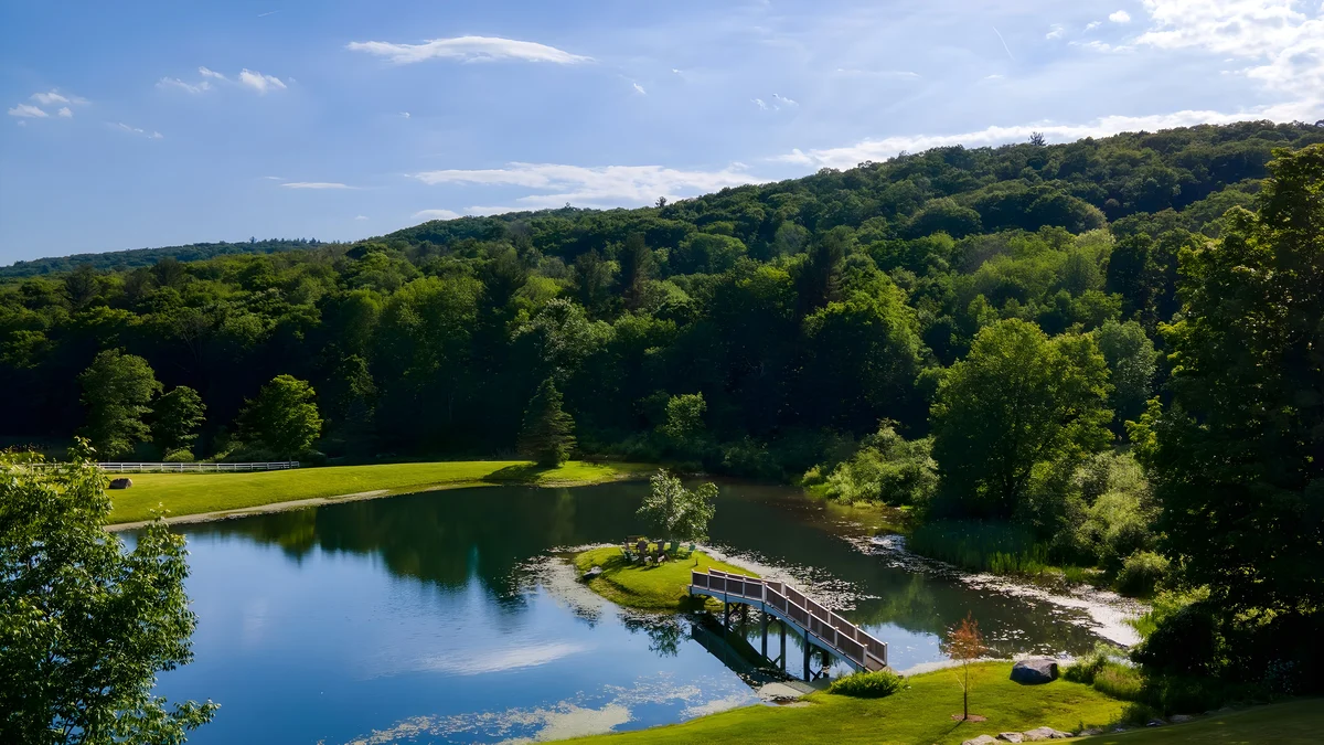 Wander Austerlitz Woods