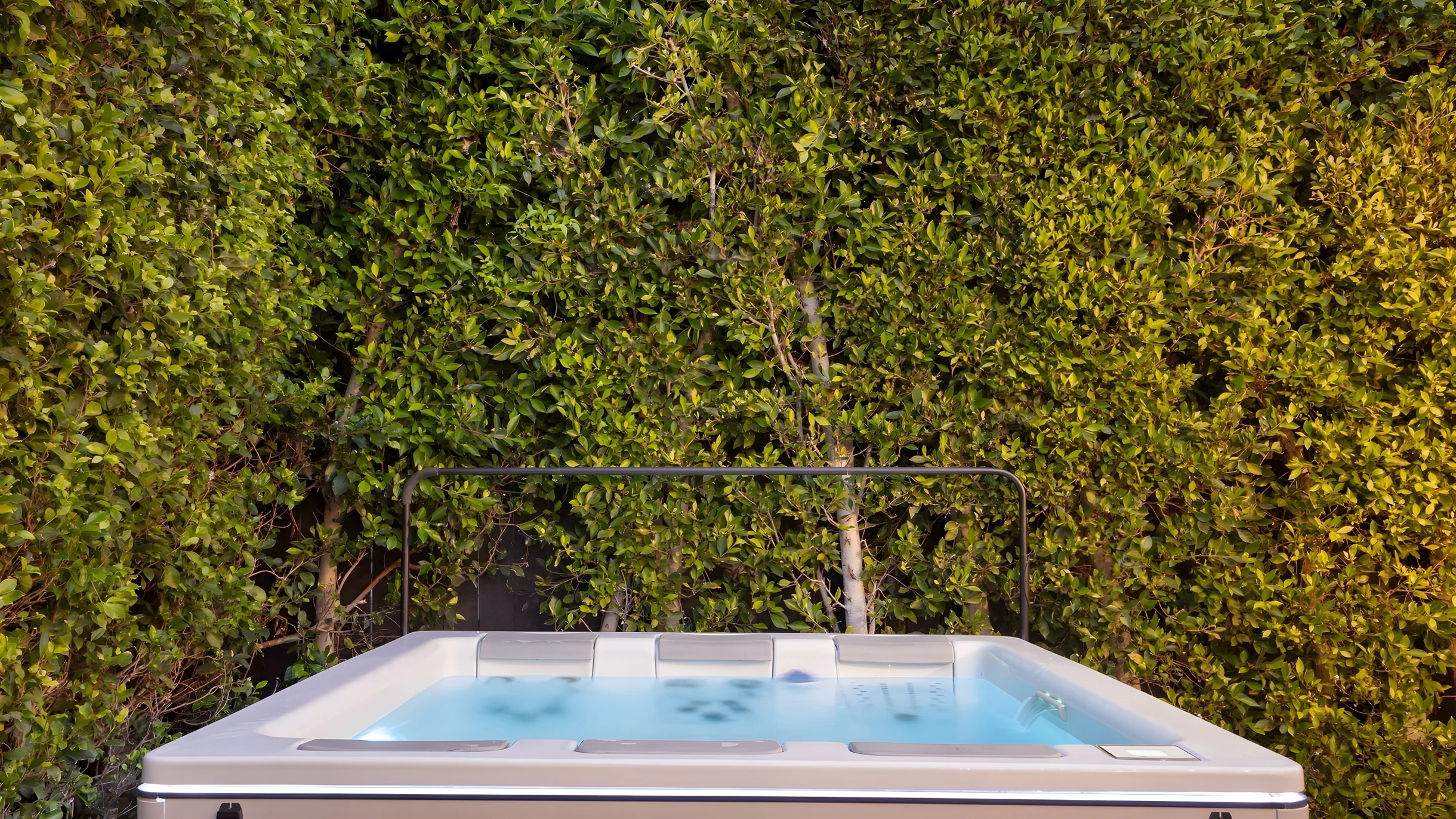 Wander San Clemente Cove #31