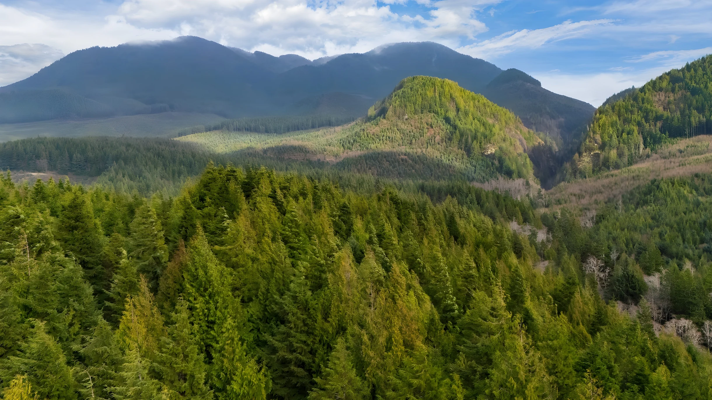 Wander Arch Cape Beach #42