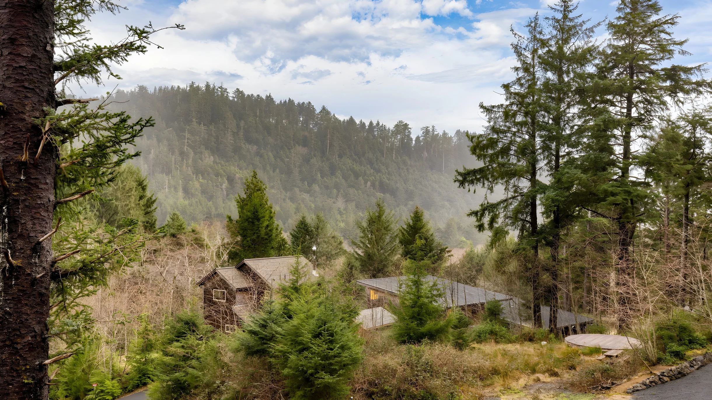 Wander Arch Cape Beach #40