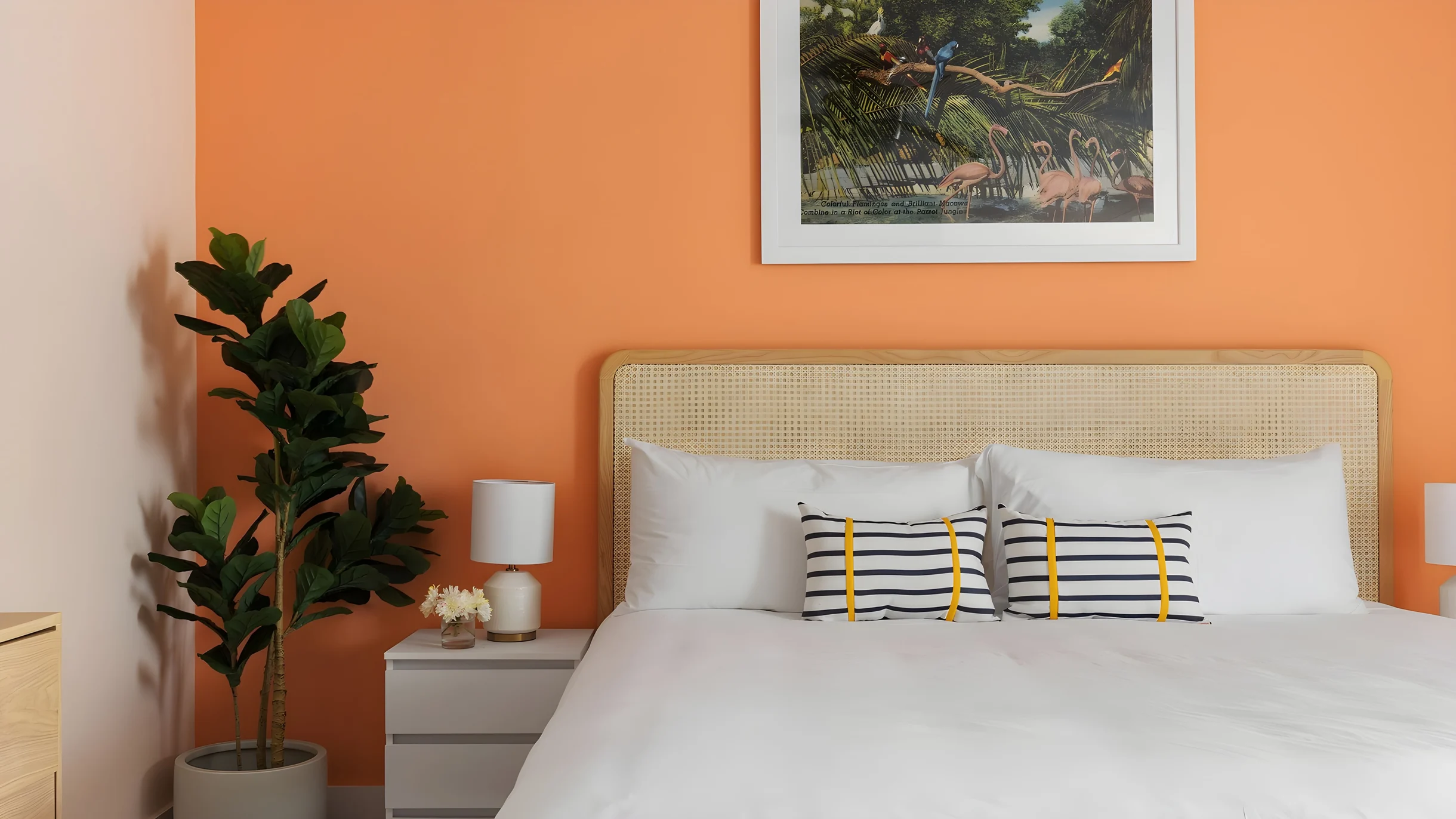 Wander Destin Tides #34