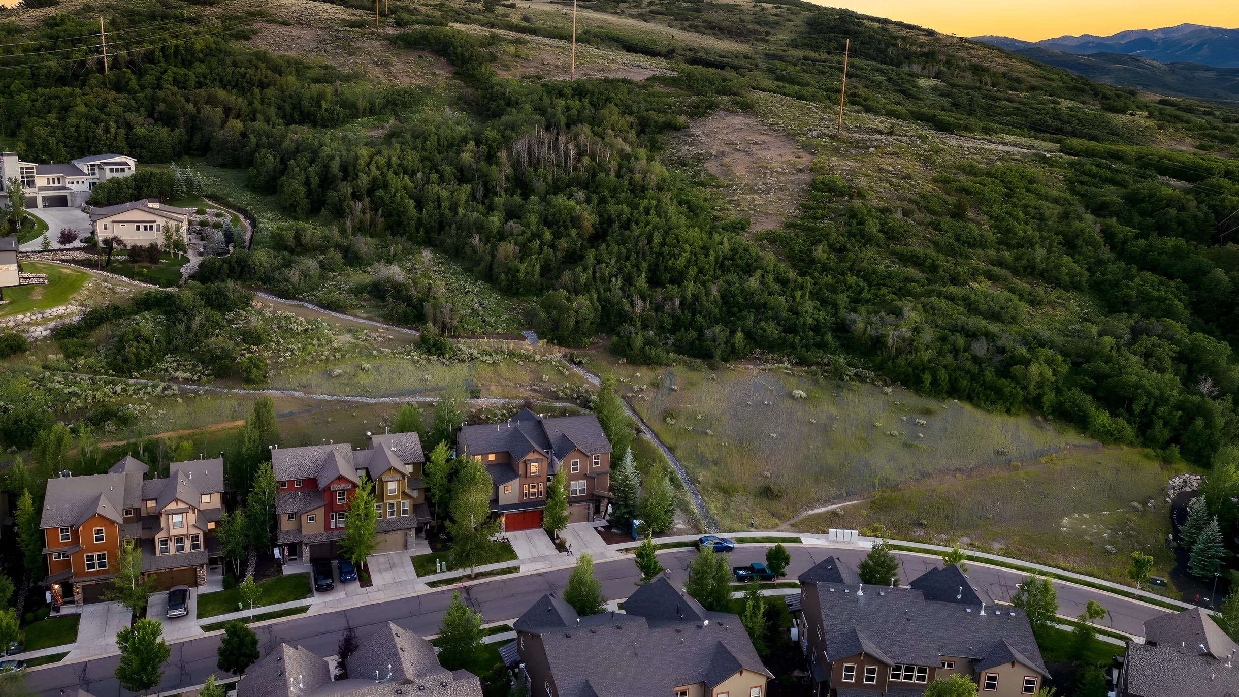 Wander Heber Pines #5