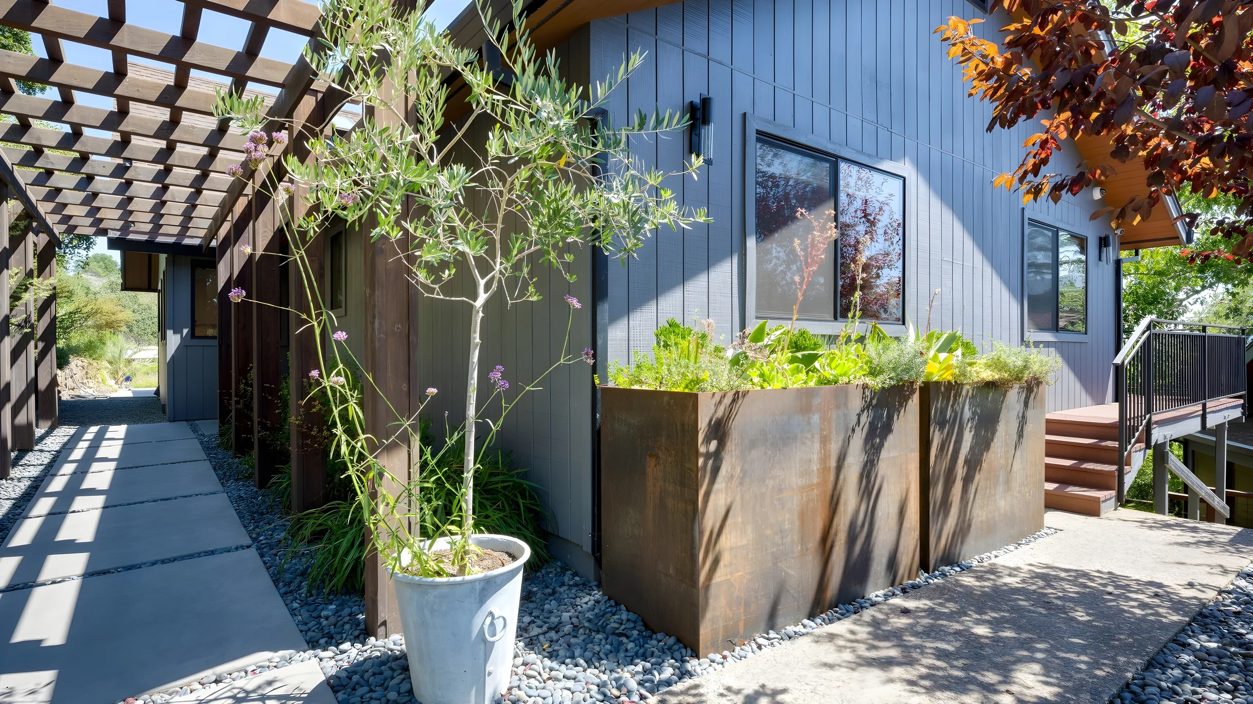 Wander Kenwood Vineyards #48