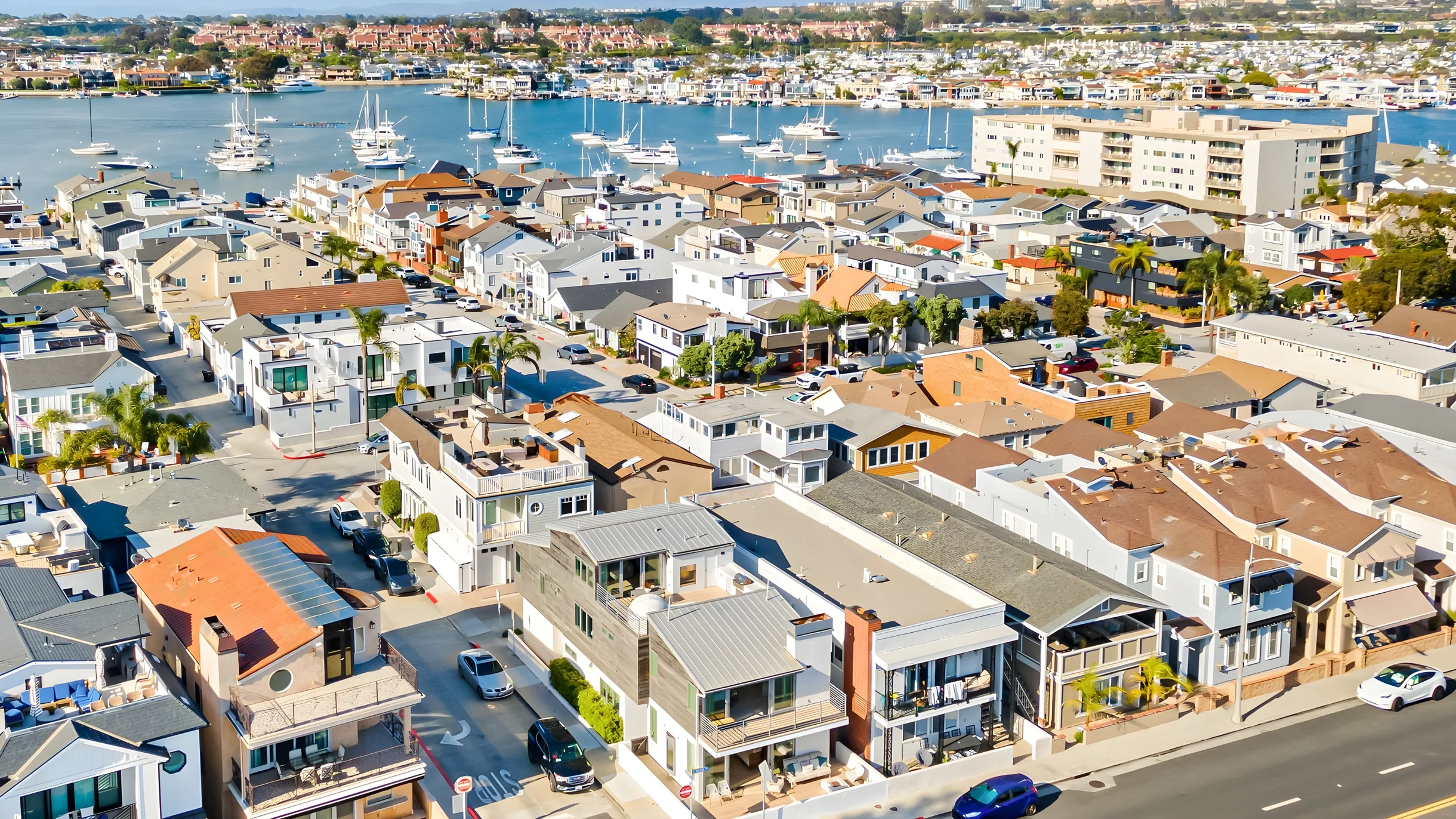 Wander Newport Tides #43