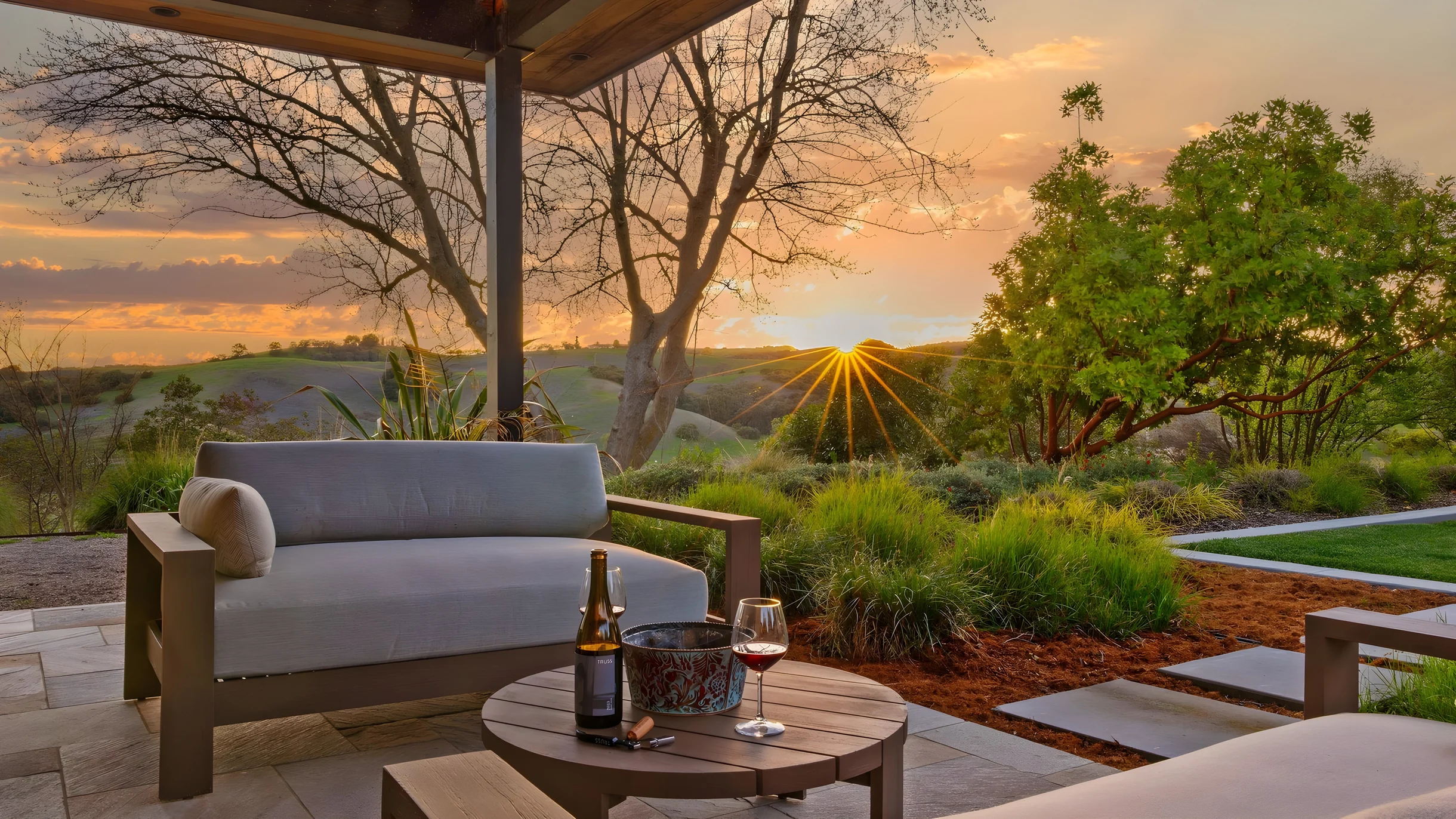 Wander Paso Robles Vines #34