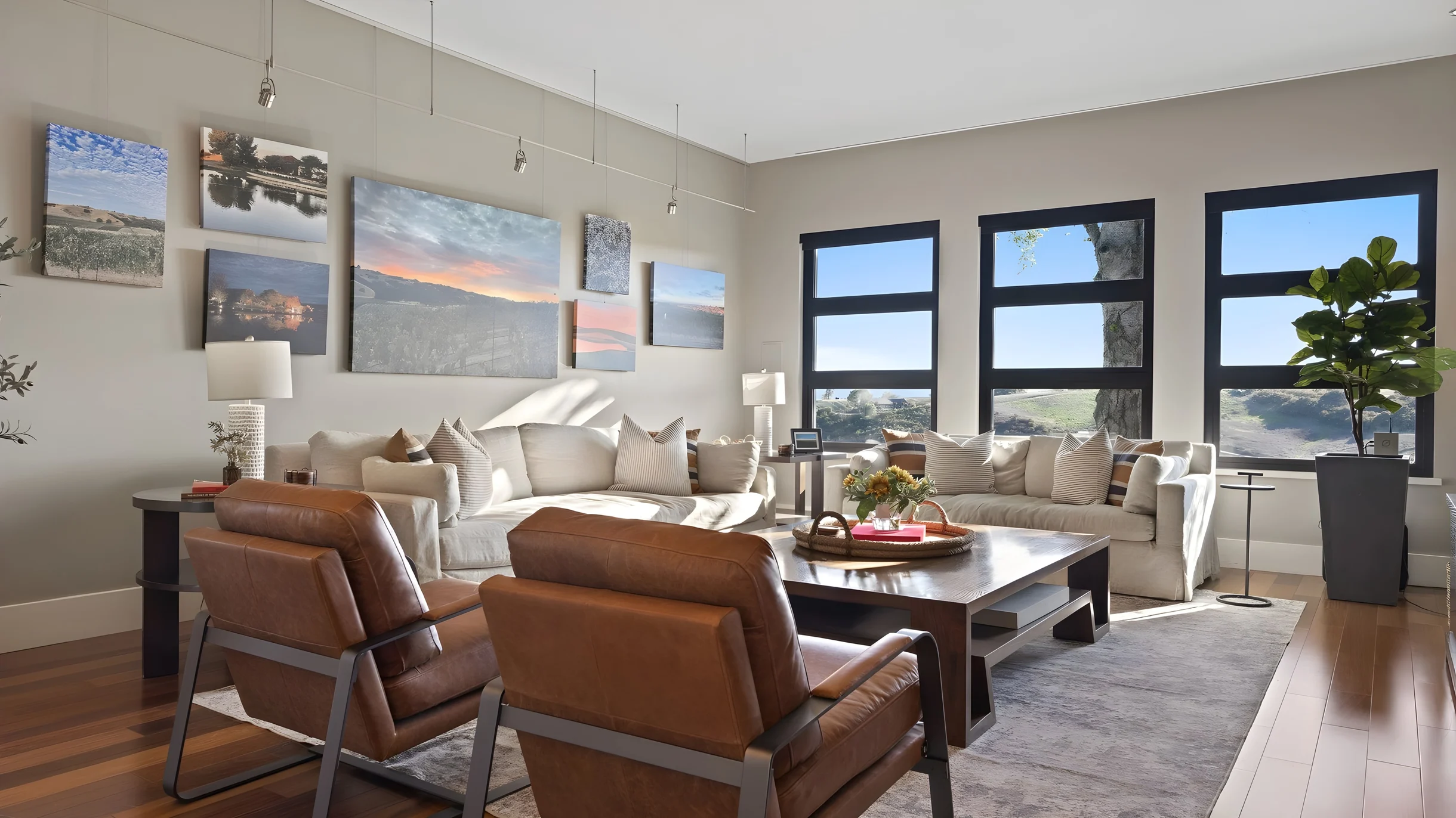 Wander Paso Robles Vines #3