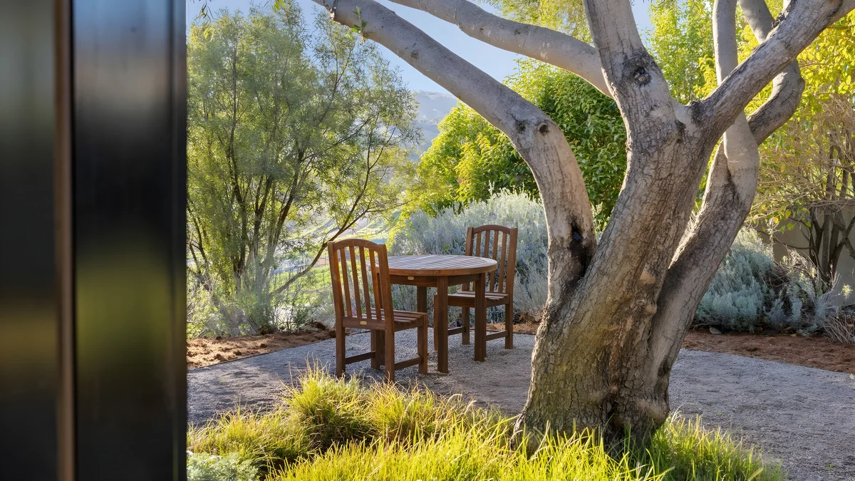 Wander Paso Robles Vines