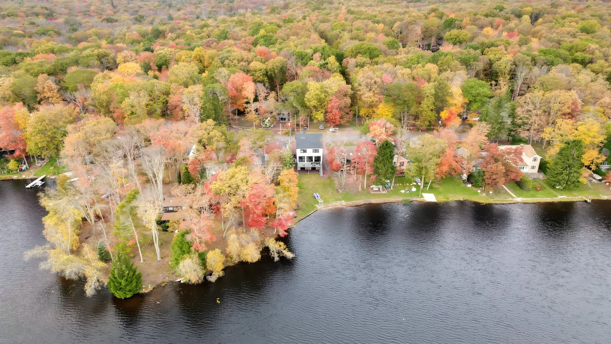 Wander White Haven Lakeview