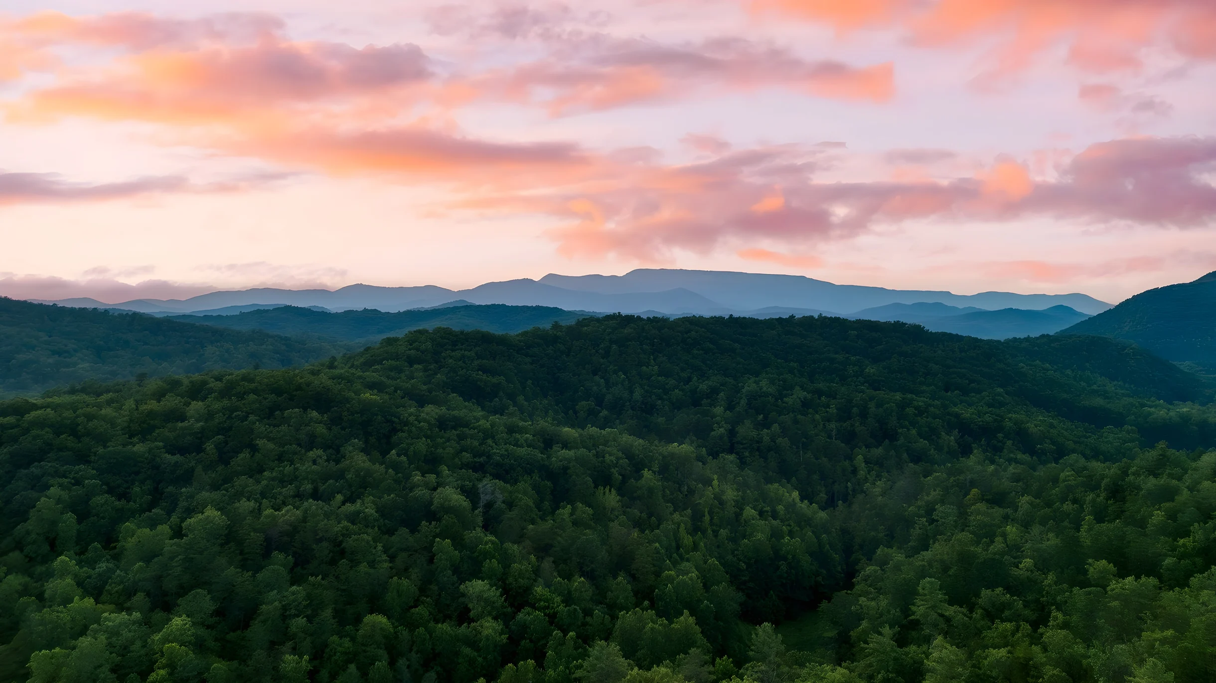 Wander Cosby Smoky Ridge #57