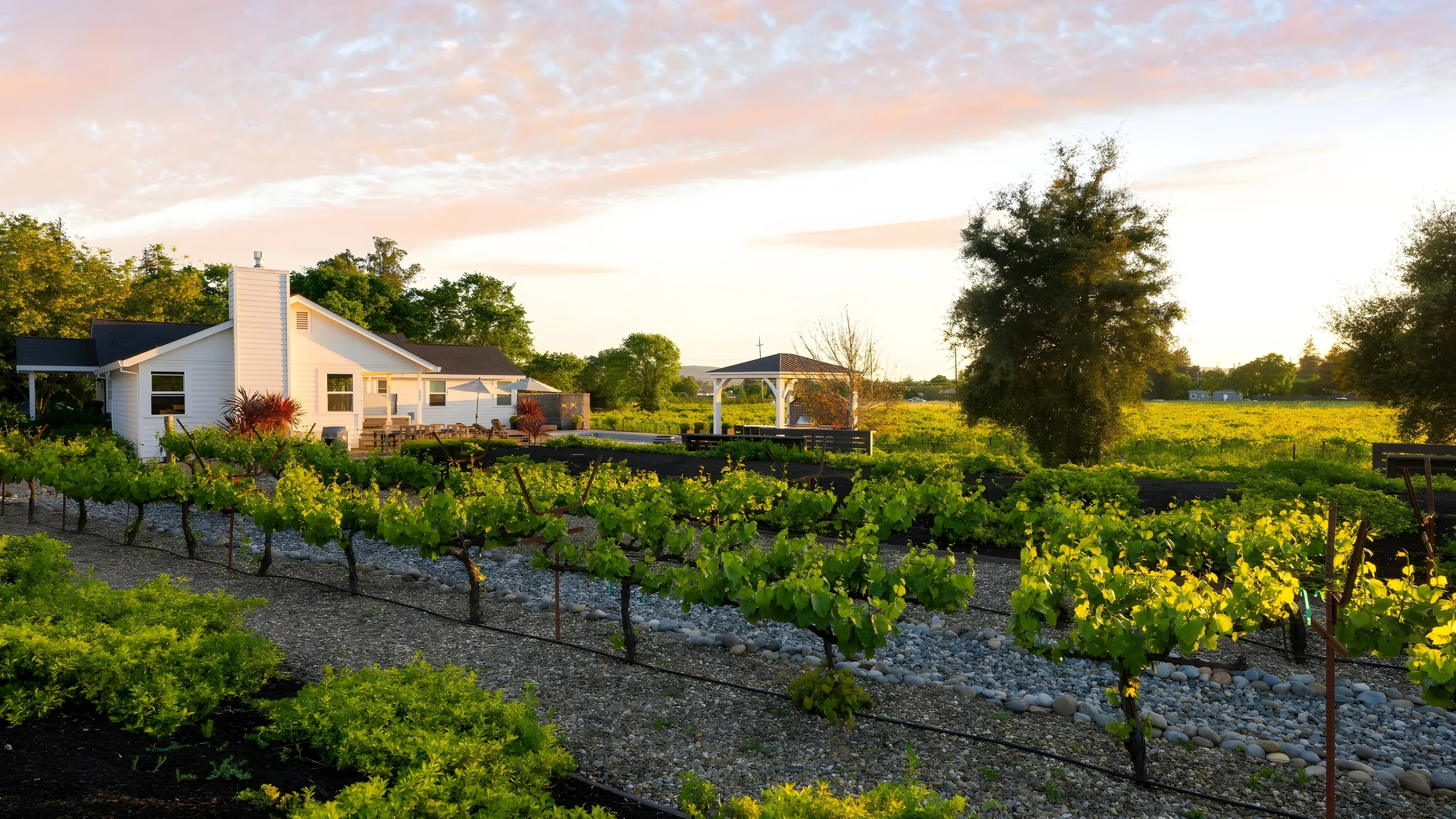 Wander Sonoma Valley Retreat #34