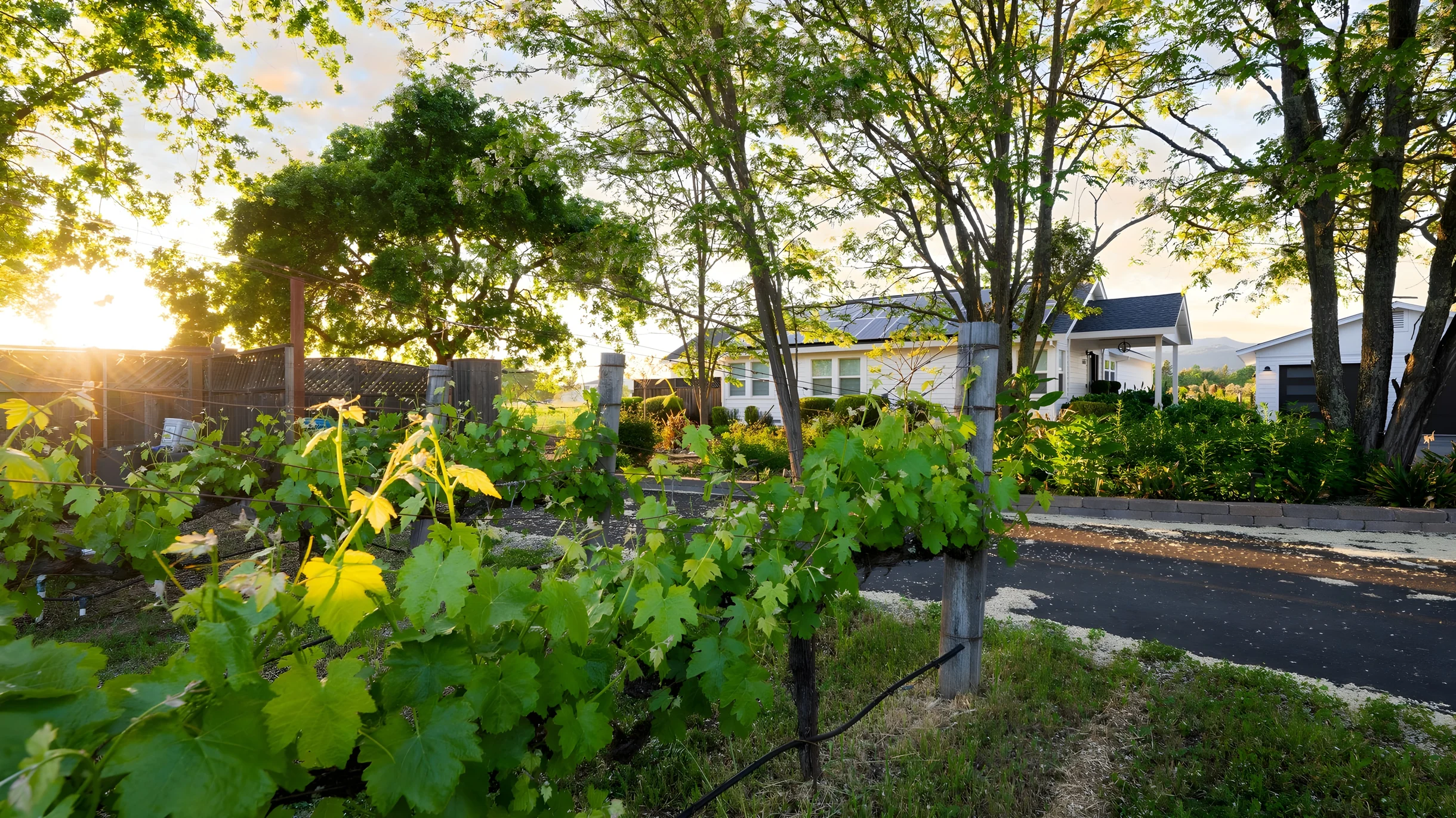 Wander Sonoma Valley Retreat #43