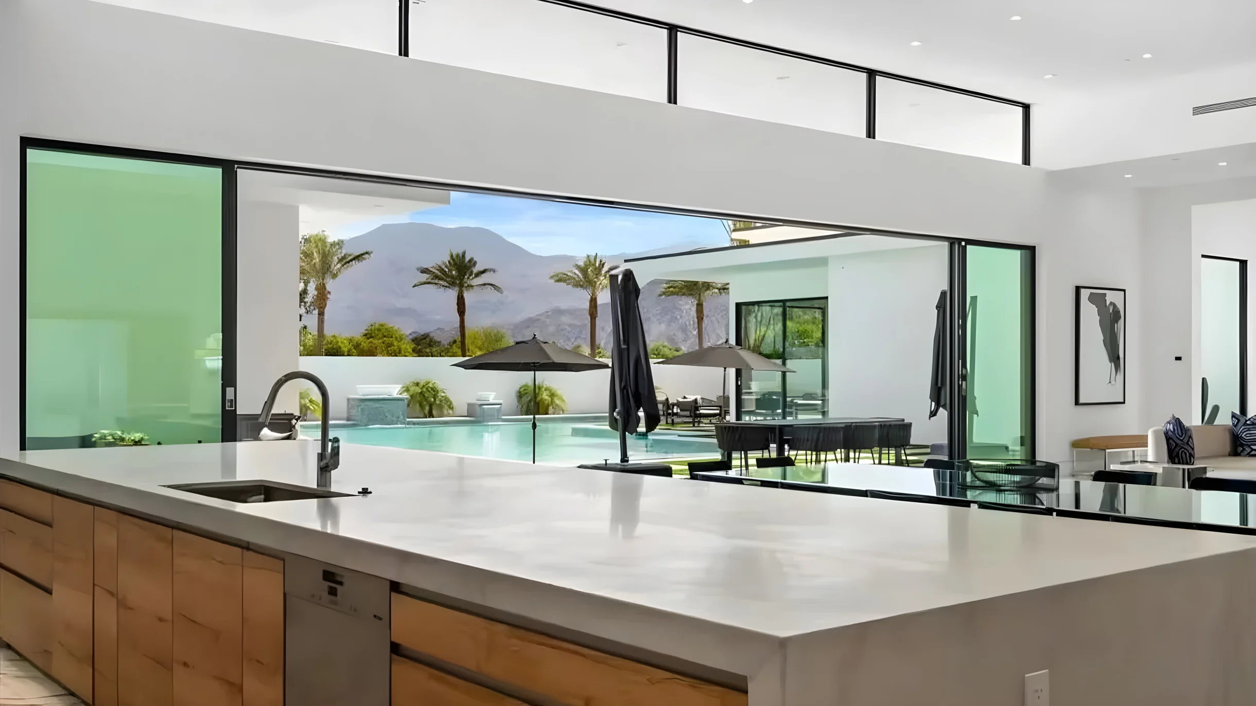 Wander Indio Date Palms #41