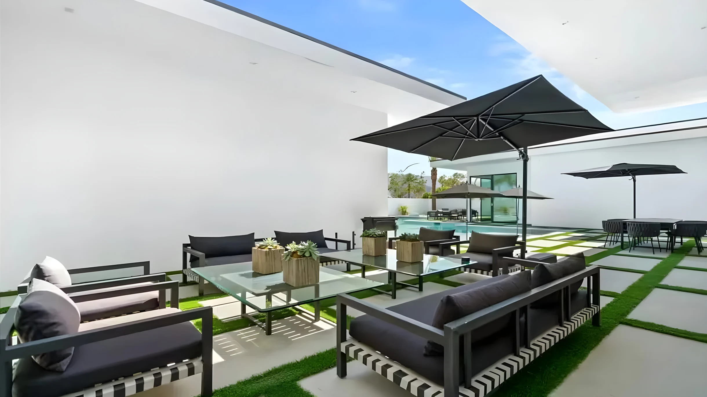 Wander Indio Date Palms #27