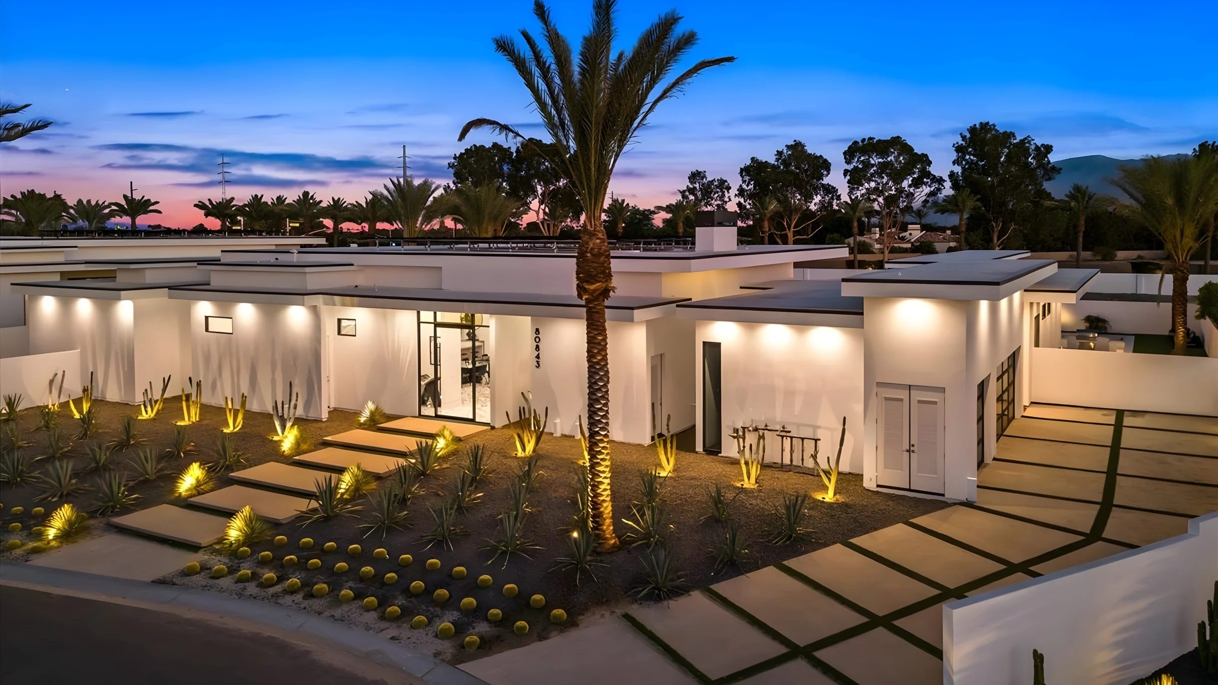 Wander Indio Date Palms #4