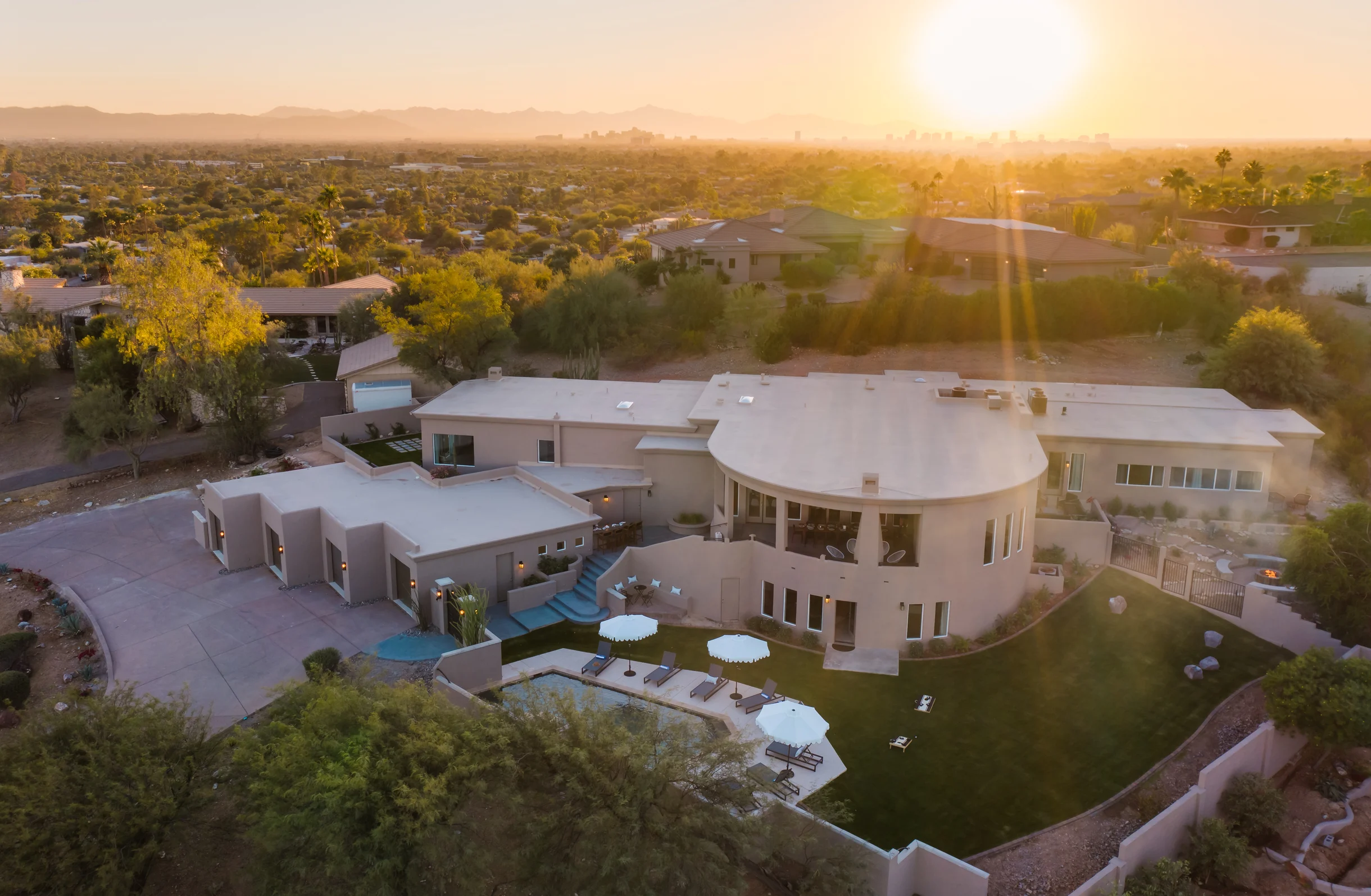 Wander Paradise Valley Cactus #5