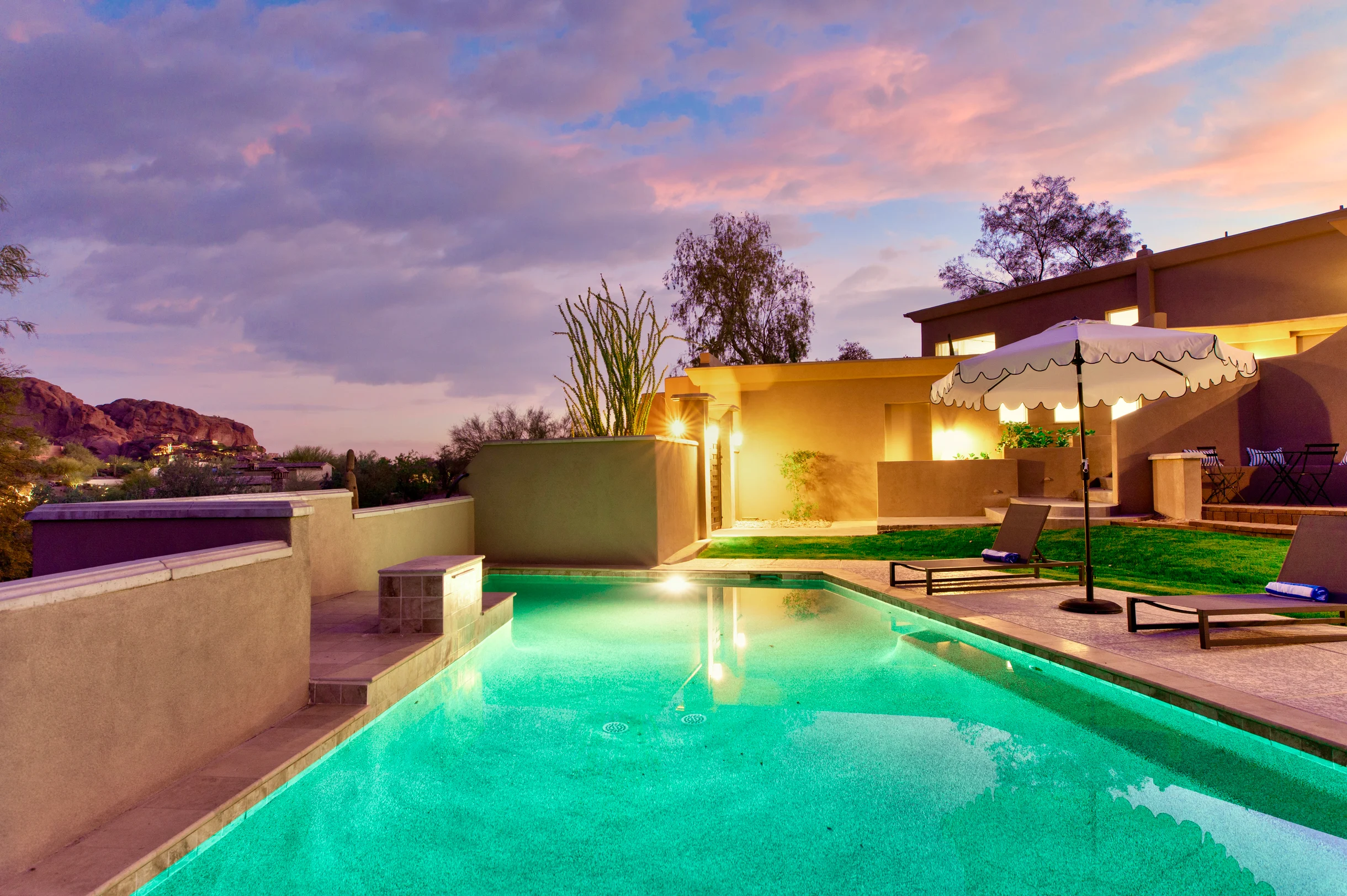 Wander Paradise Valley Cactus #2