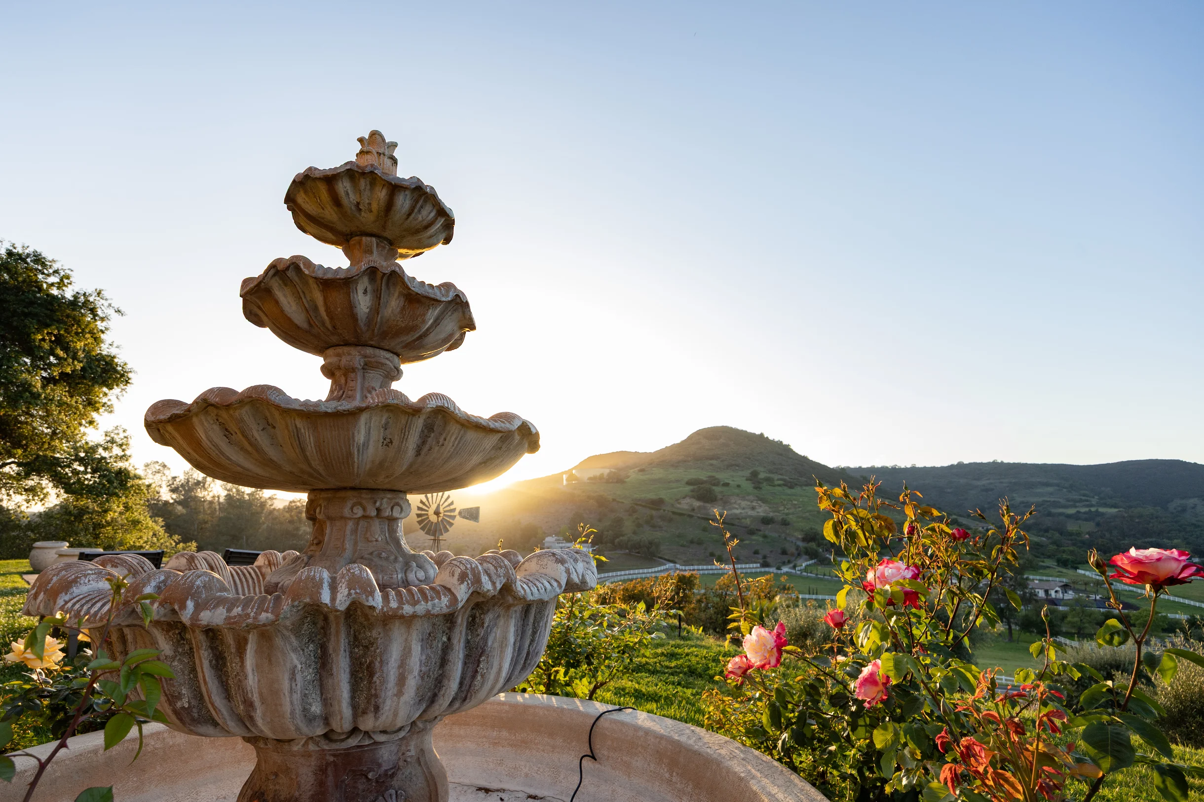 Wander Temecula Estates #19