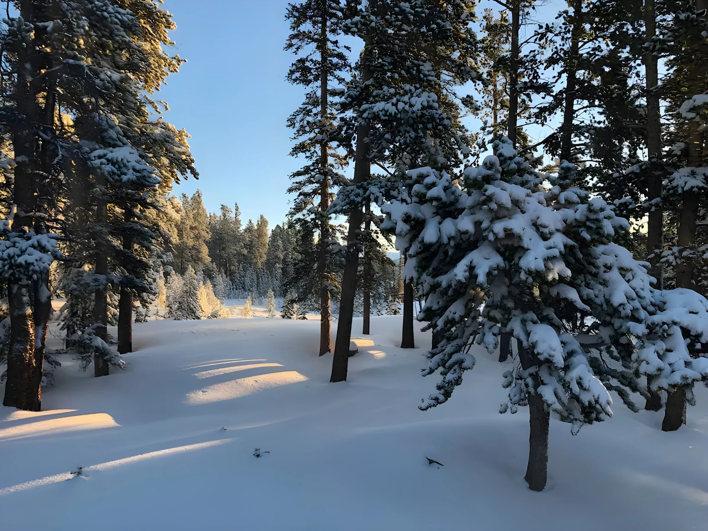 Wander Fairplay Mountain Retreat #29