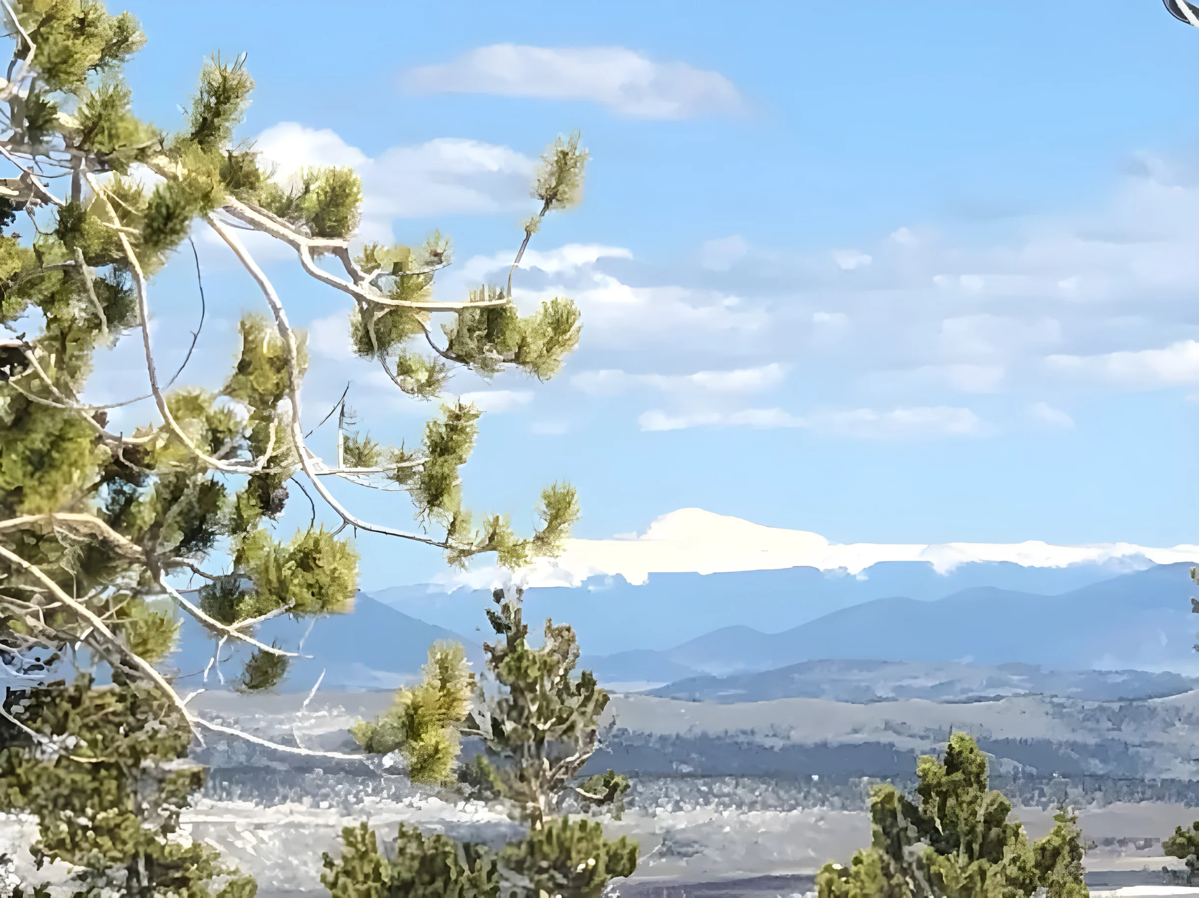 Wander Fairplay Mountain Retreat #37