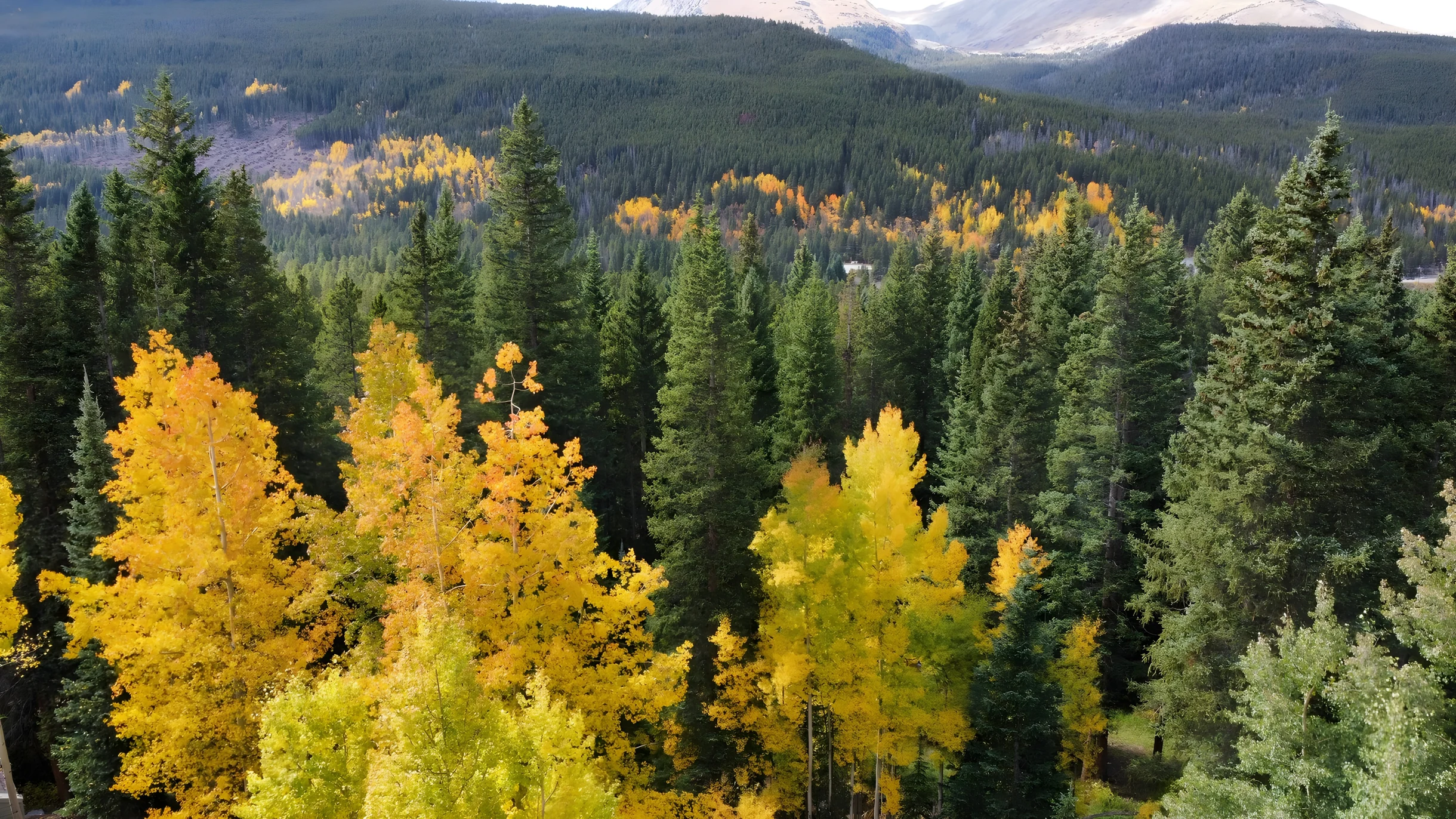 Wander Breckenridge Peakview #72