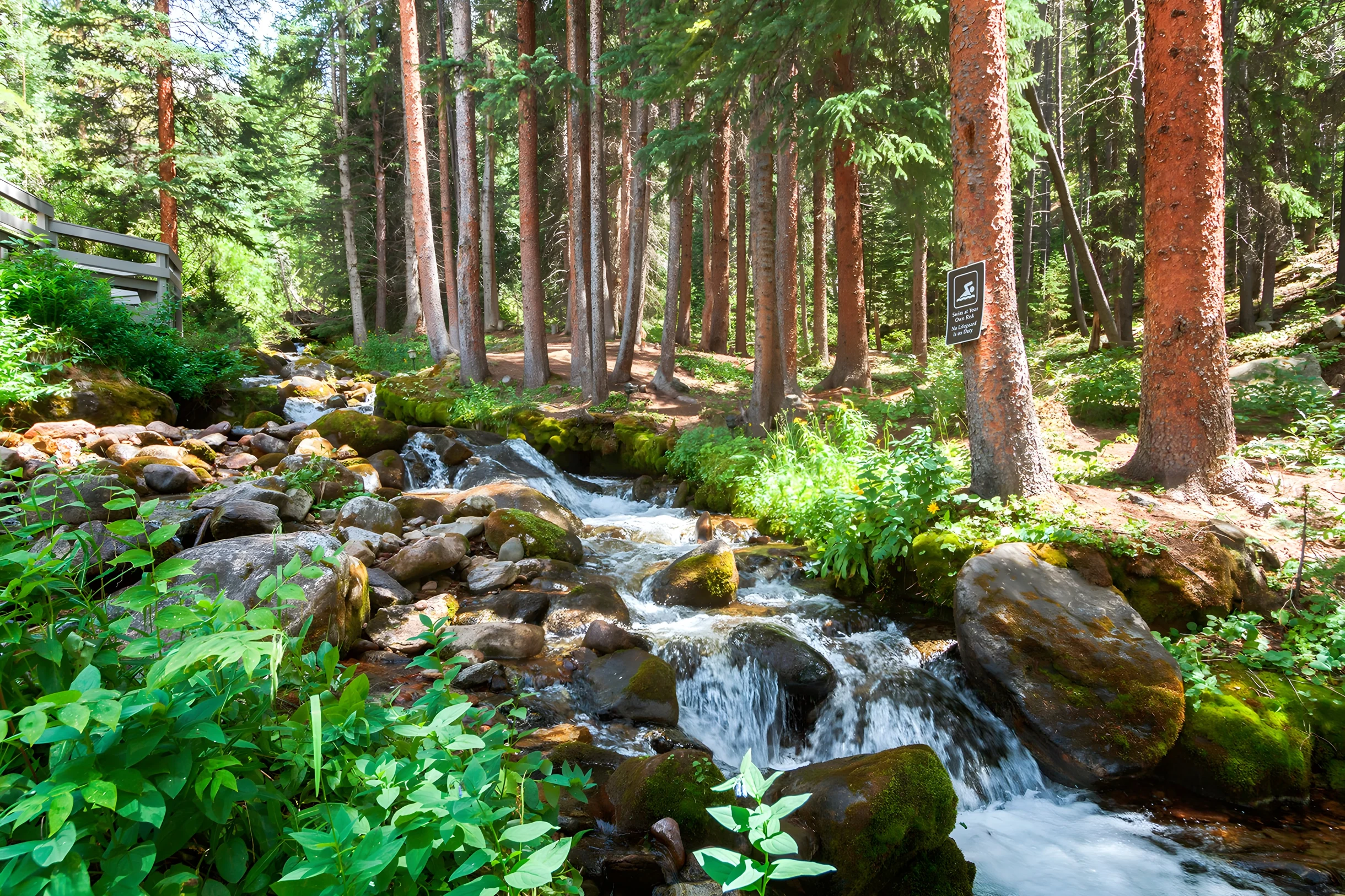 Wander Breckenridge Peakview #85