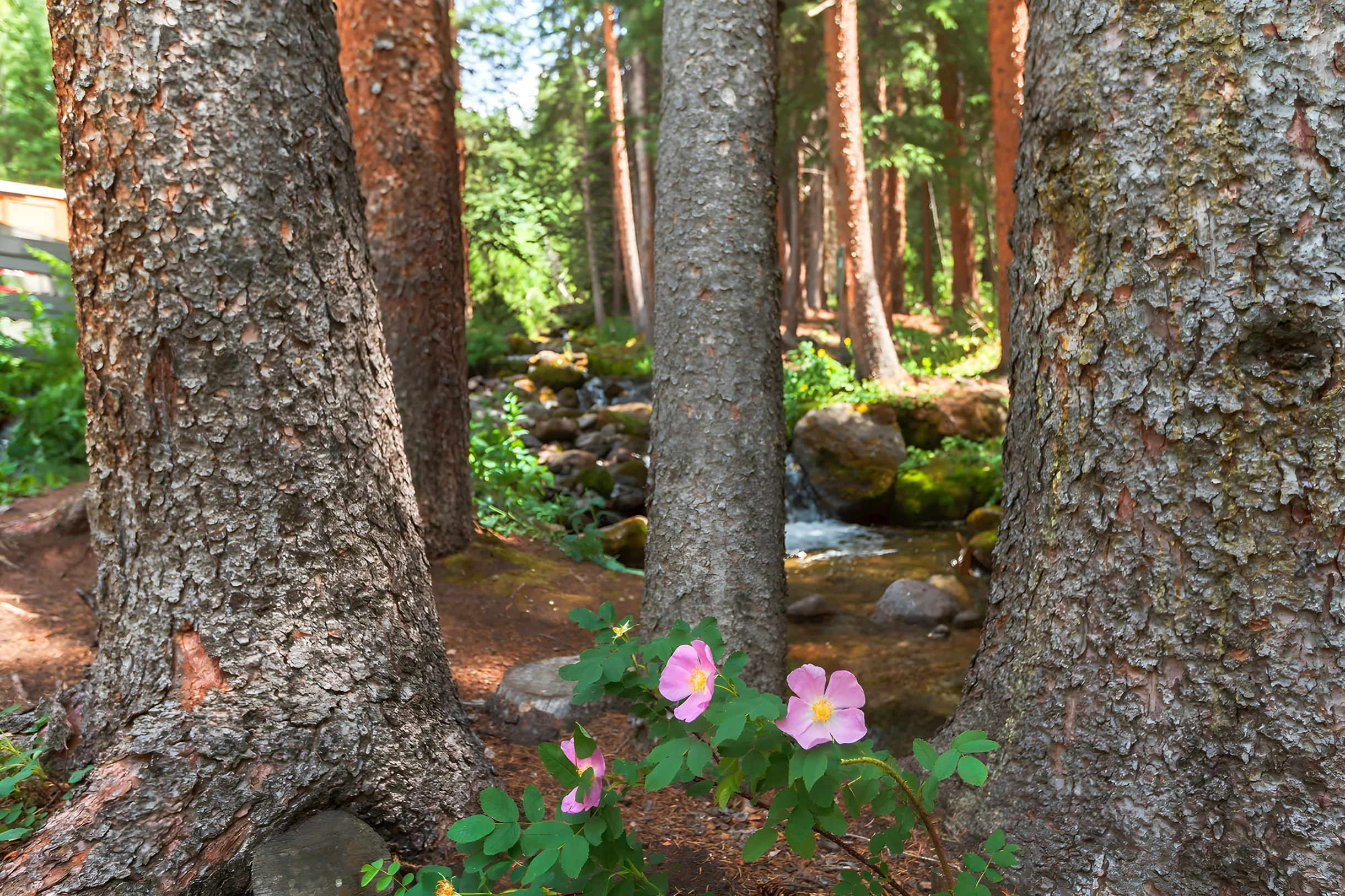 Wander Breckenridge Peakview #83