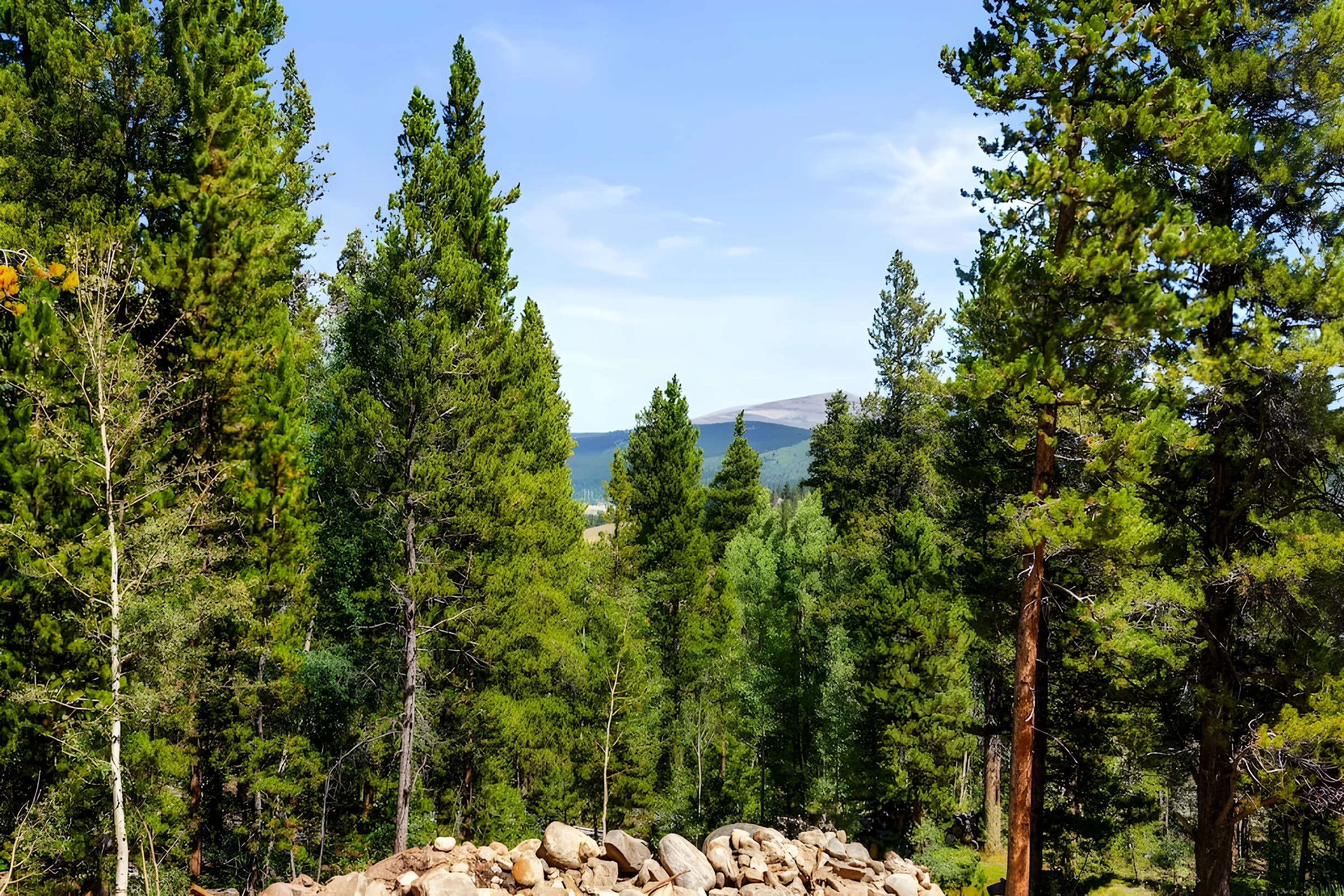 Wander Fairplay Peaks #65