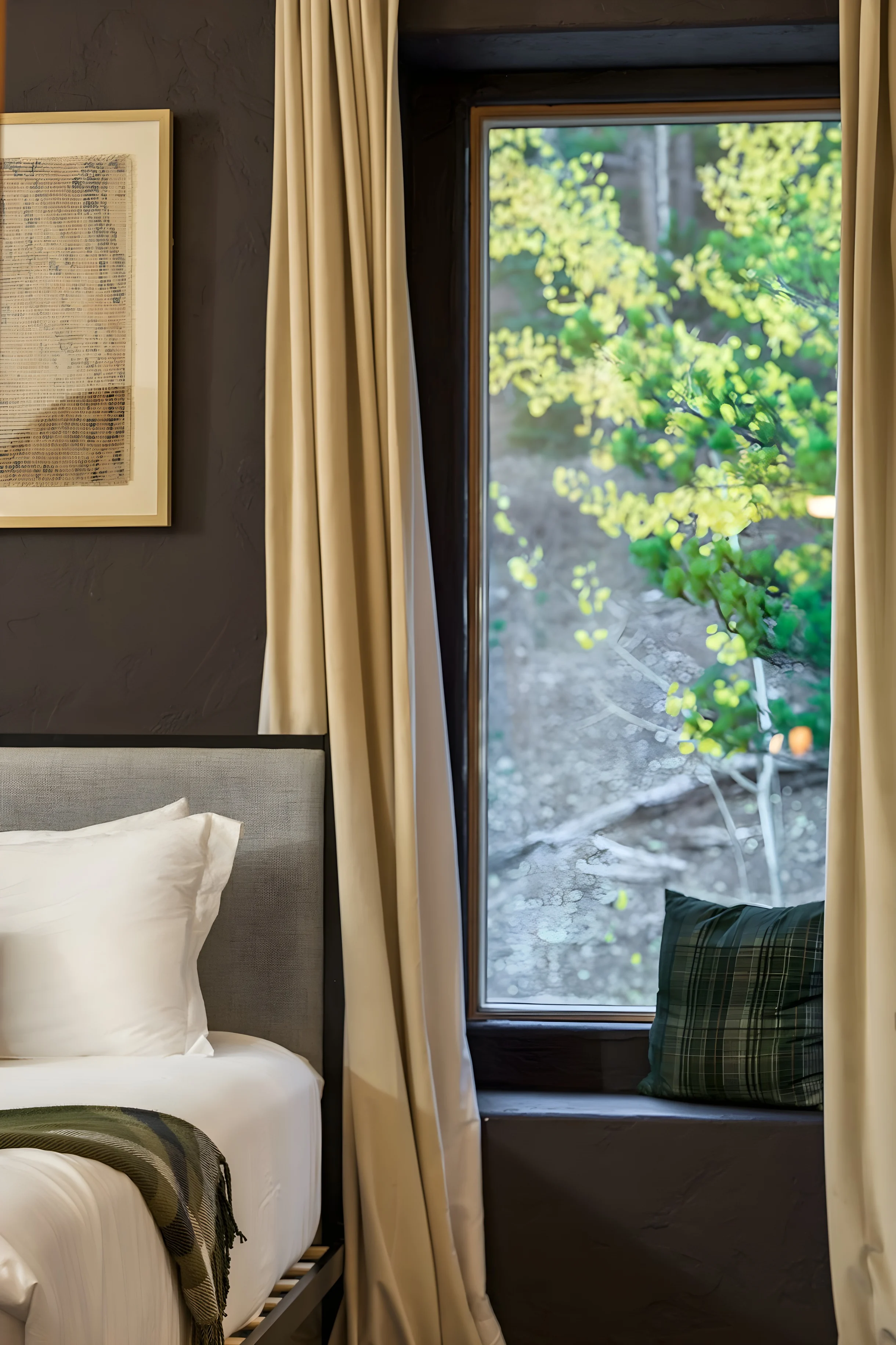 Wander Fairplay Peaks #58