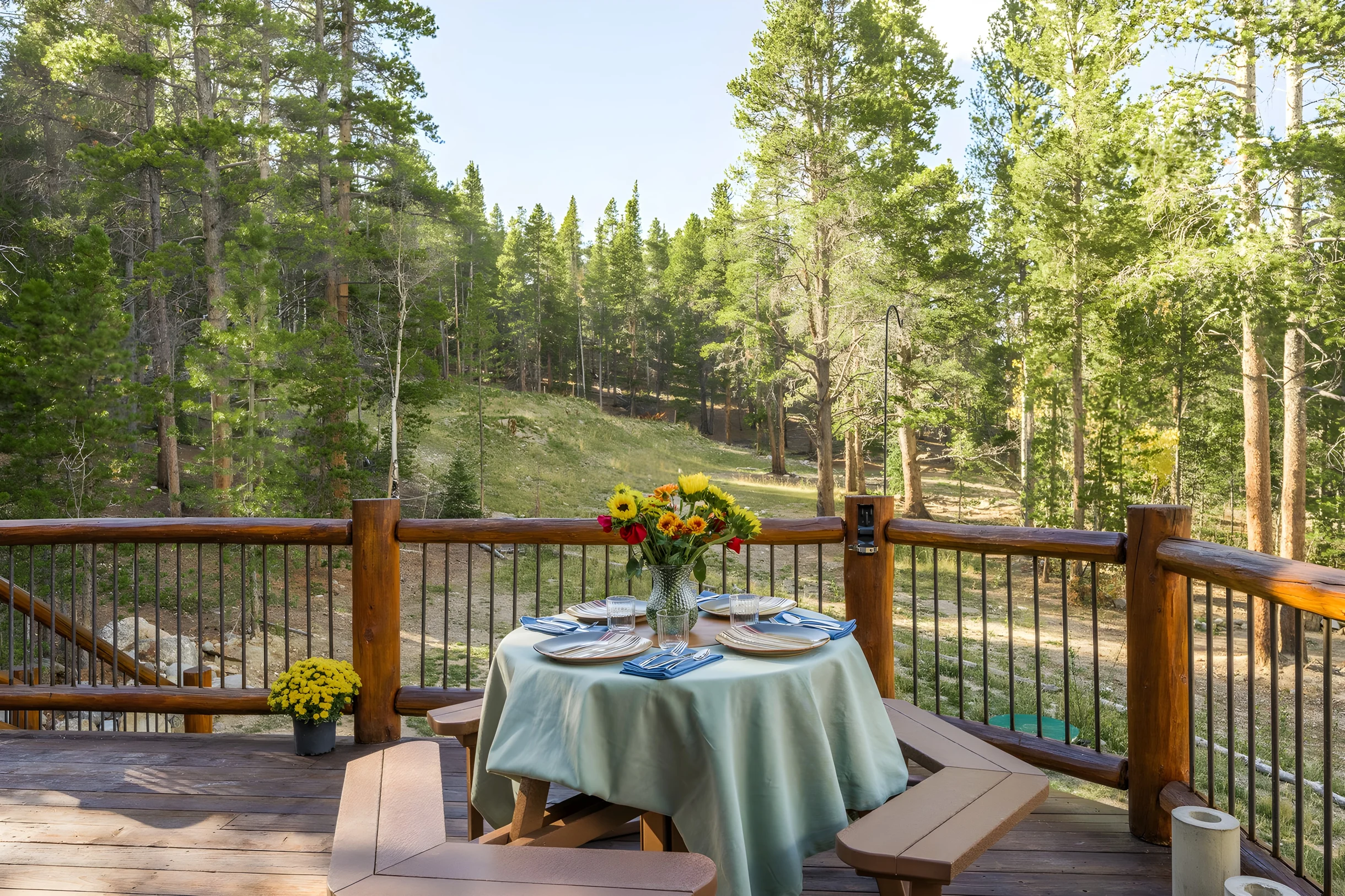 Wander Fairplay Peaks #51