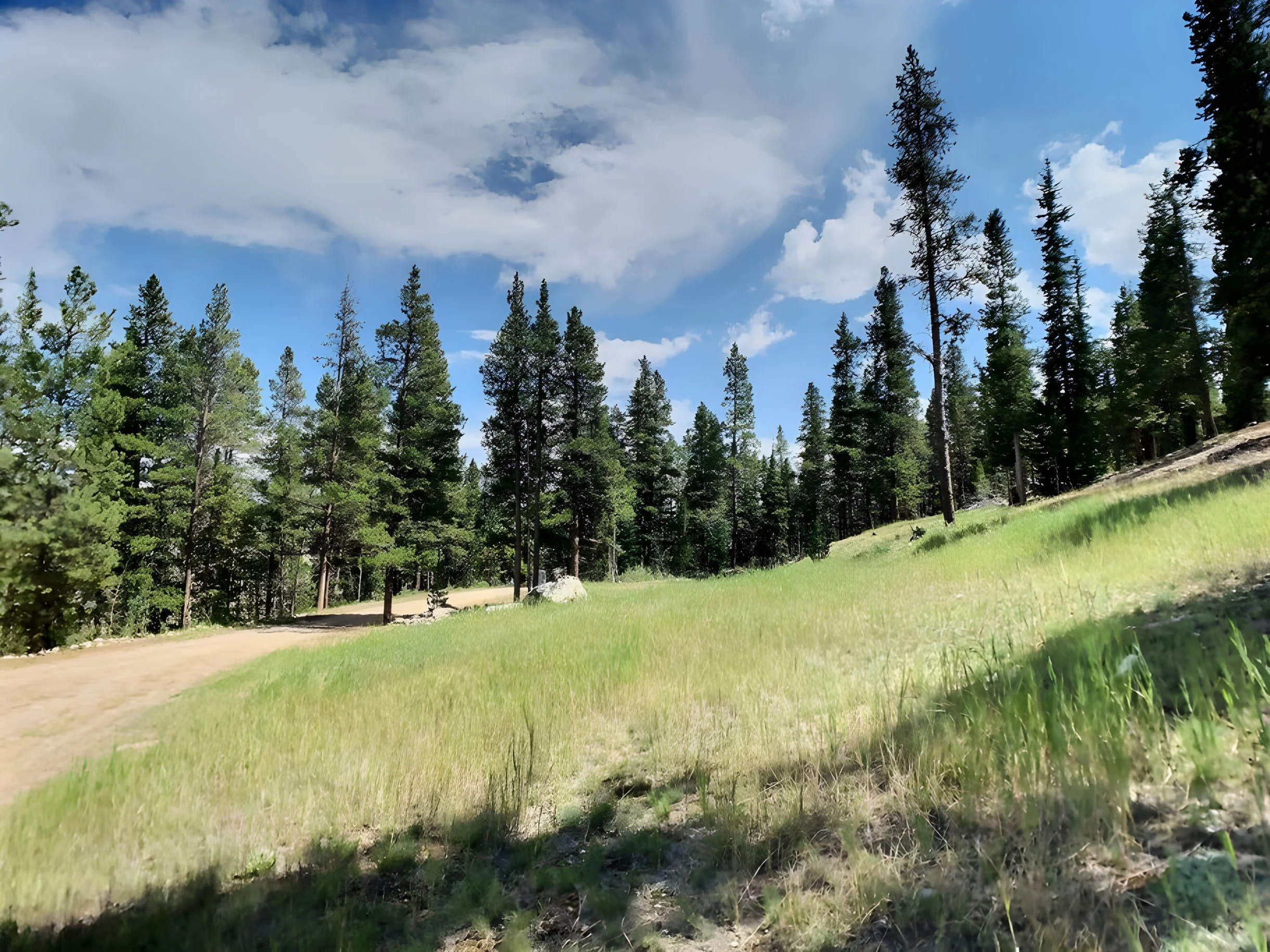 Wander Fairplay Peaks #88