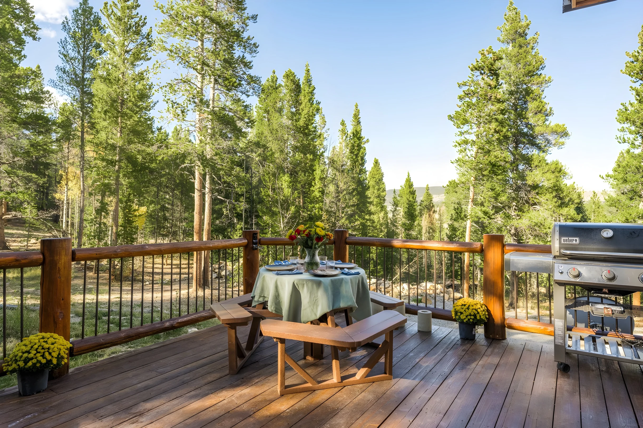 Wander Fairplay Peaks #46