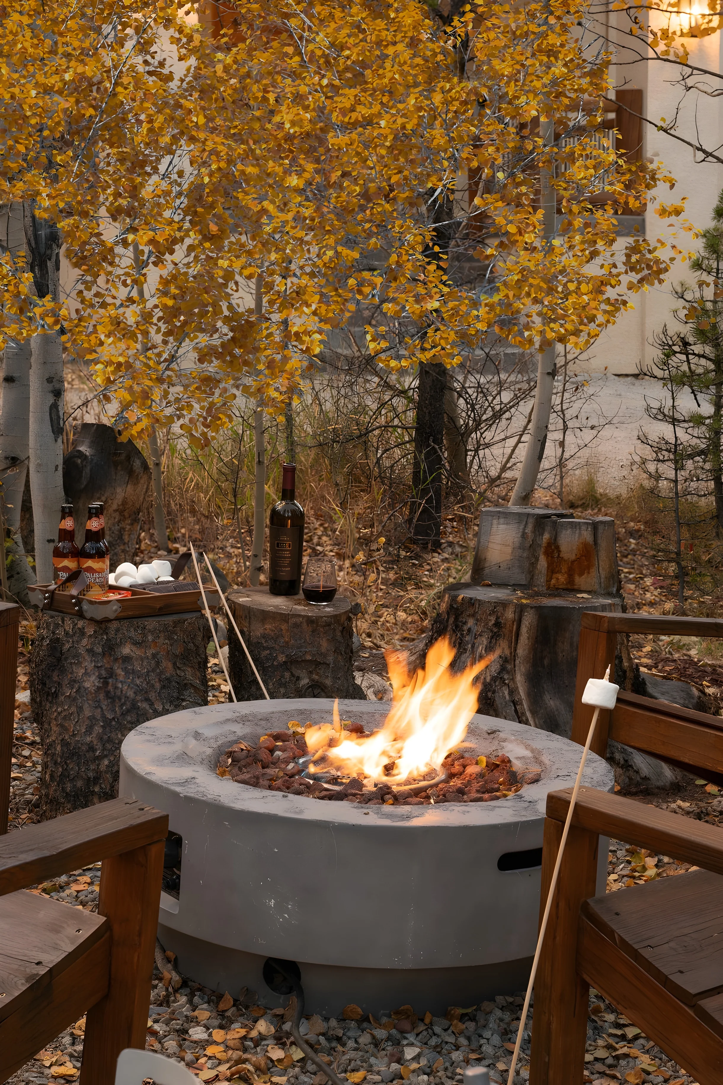 Wander Fairplay Peaks #29