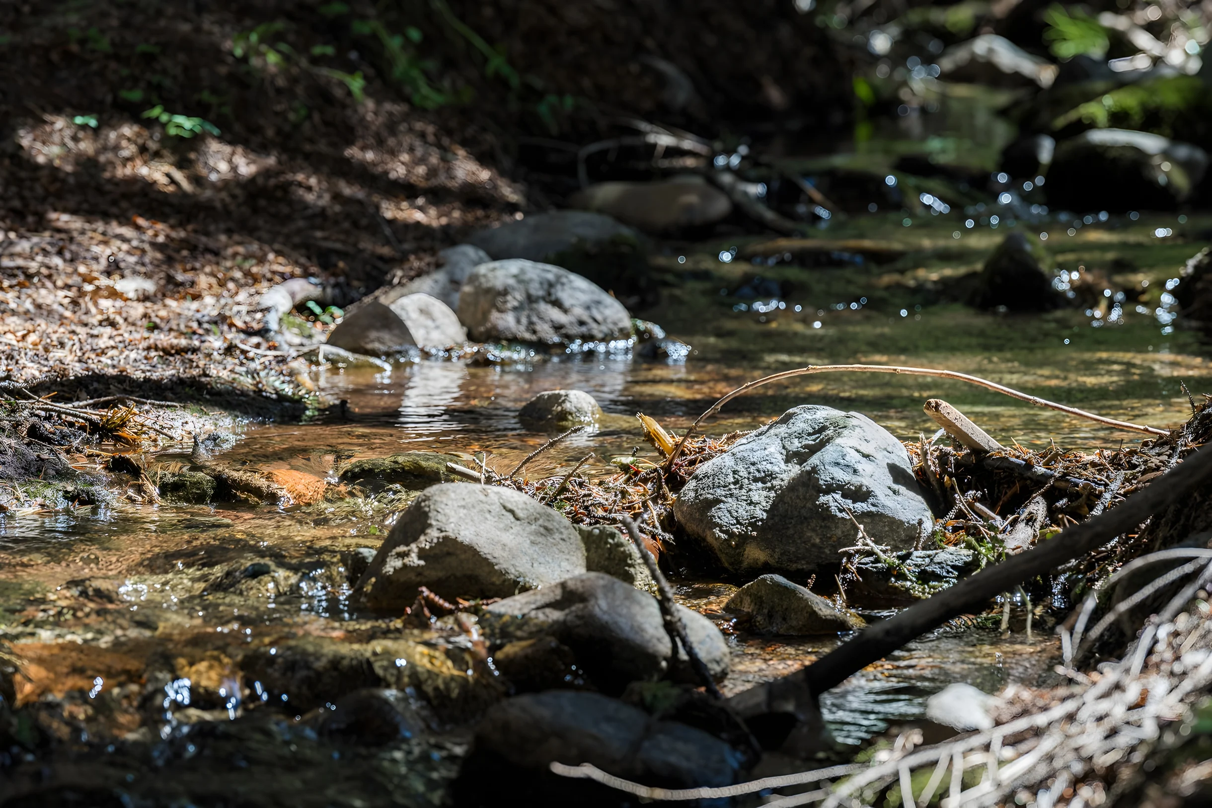 Wander Breckenridge Snowcrest #45