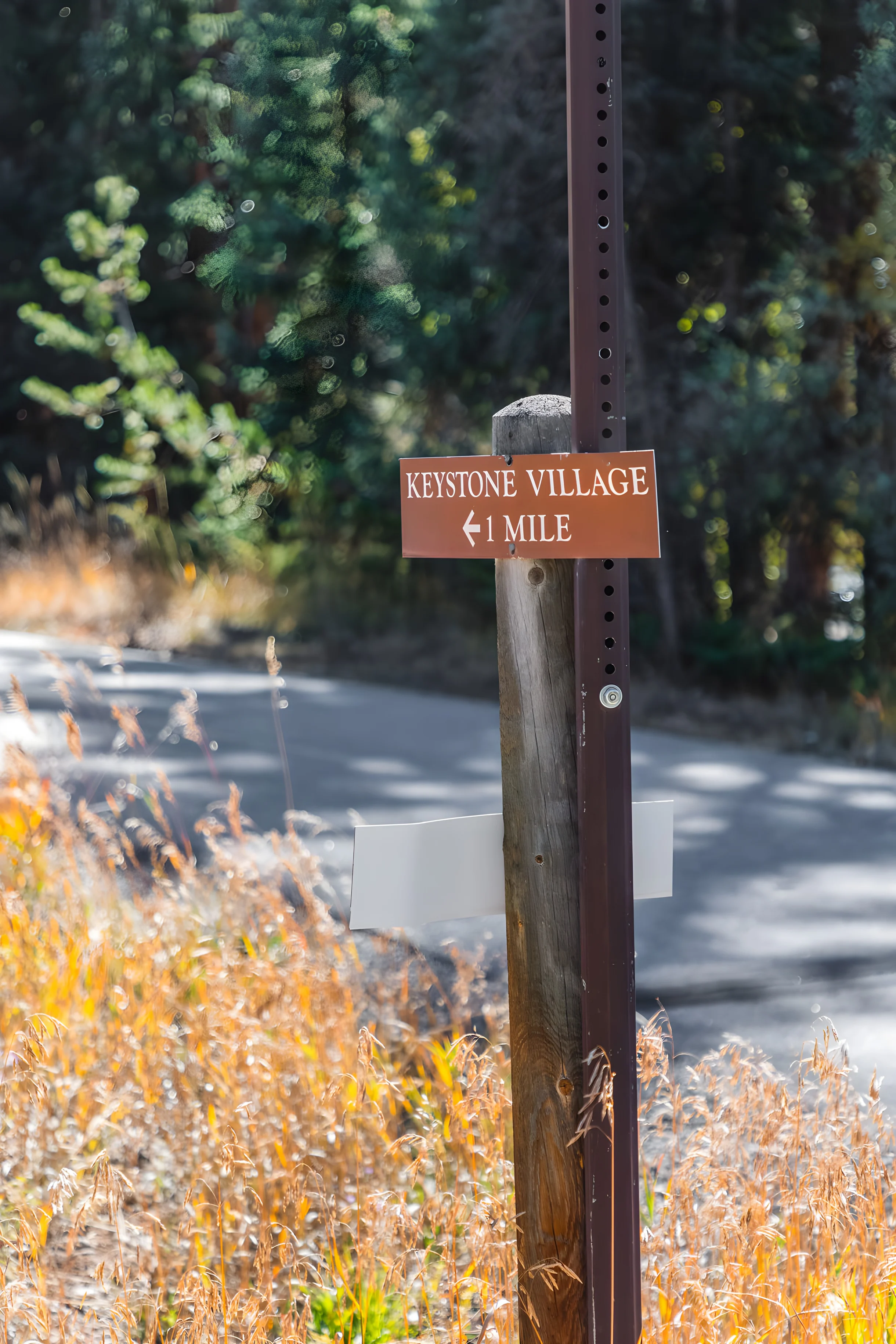 Wander Keystone Mountain #95