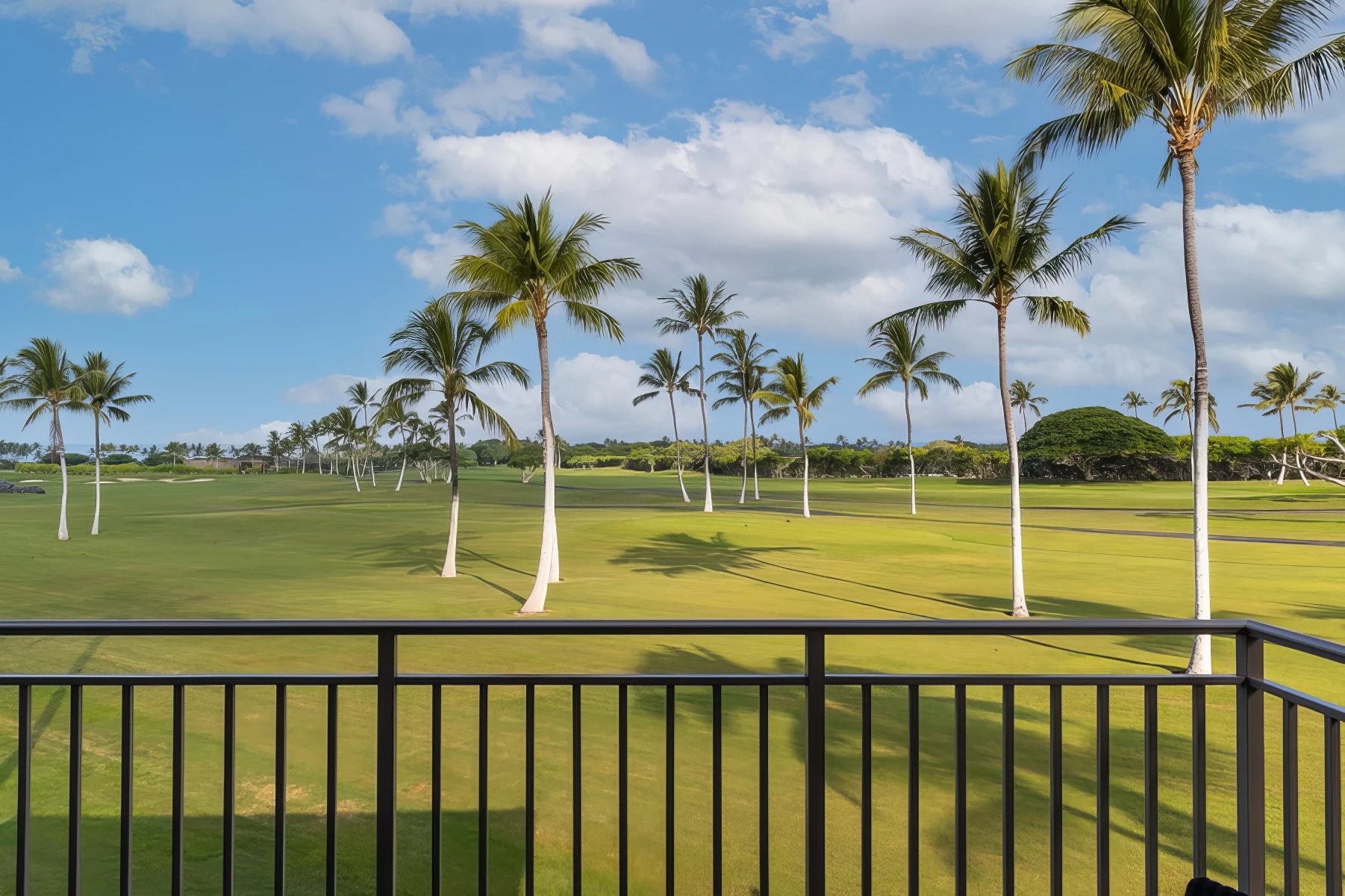 Home at Hualālai