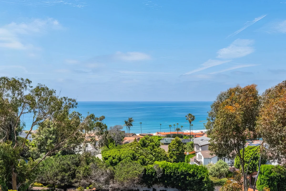 Wander La Jolla Lookout