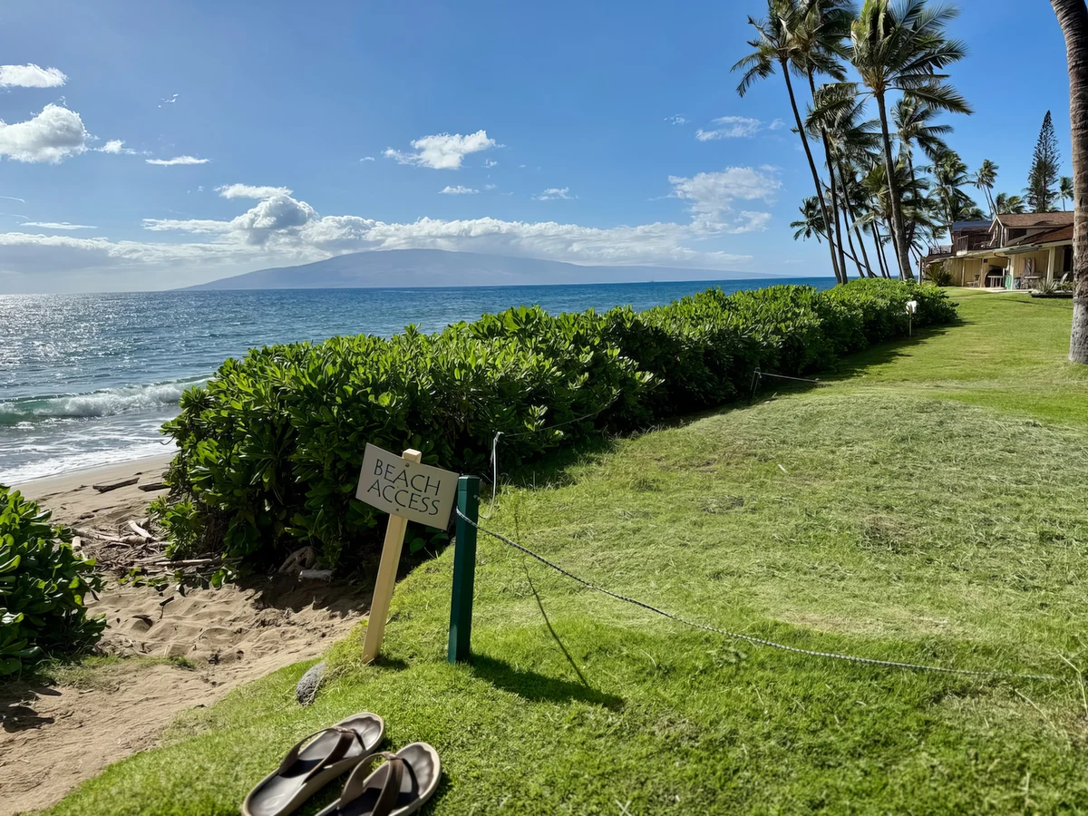 Wander Lahaina Harbor #5