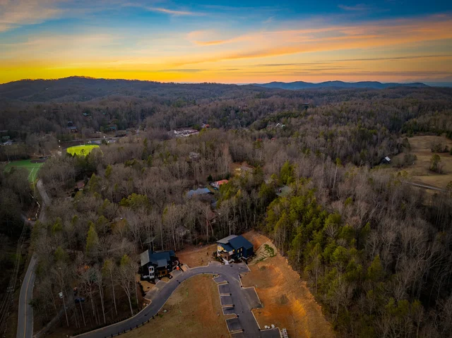 Wander Gatlinburg Forest