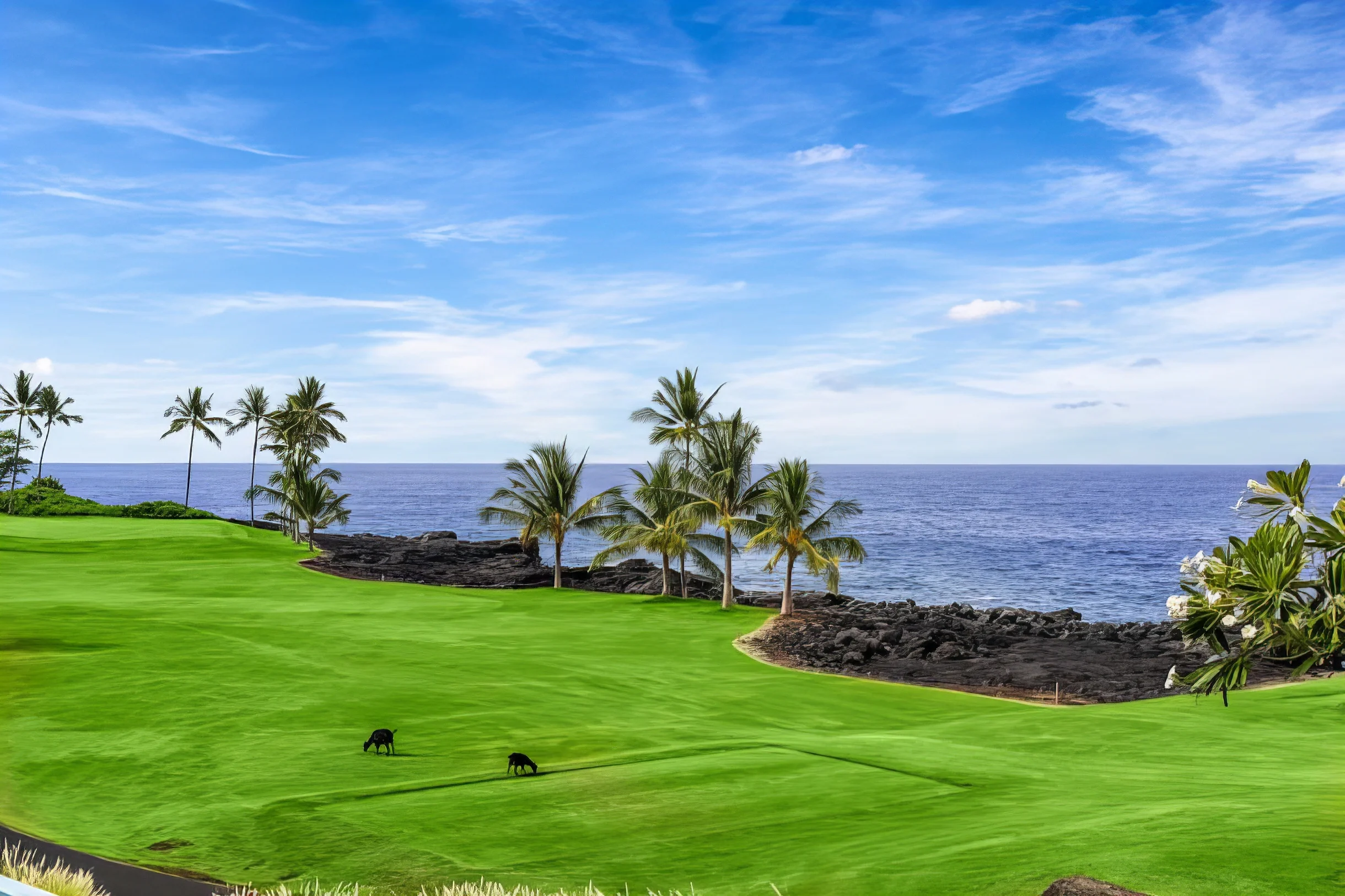 Wander Kailua Kona Leeward #37