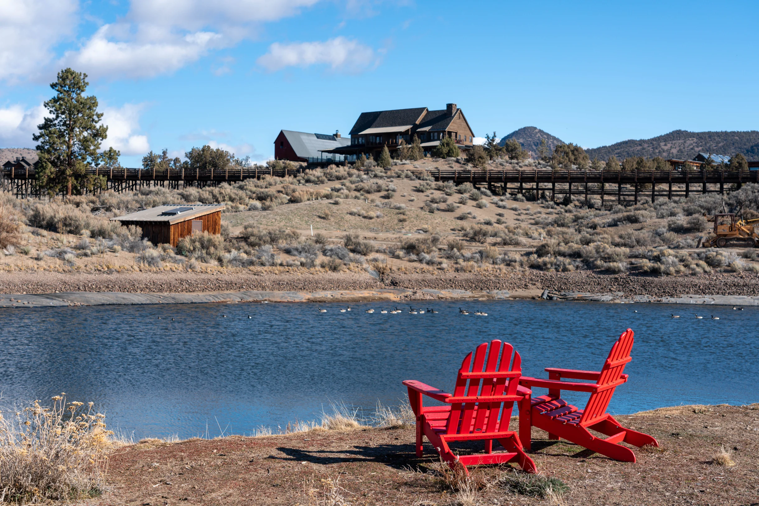 Wander Powell Butte Pines #30