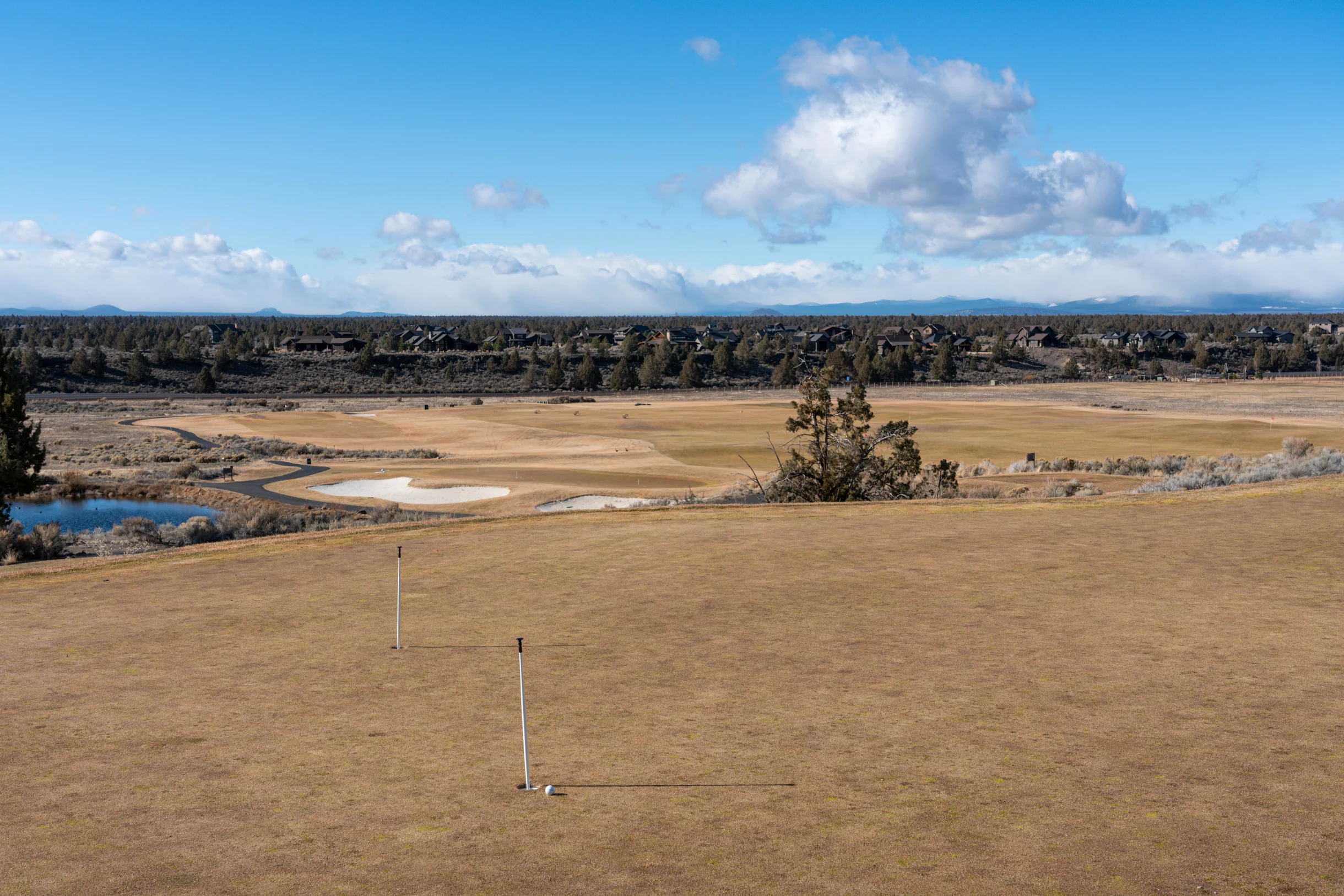 Wander Powell Butte Pines #49