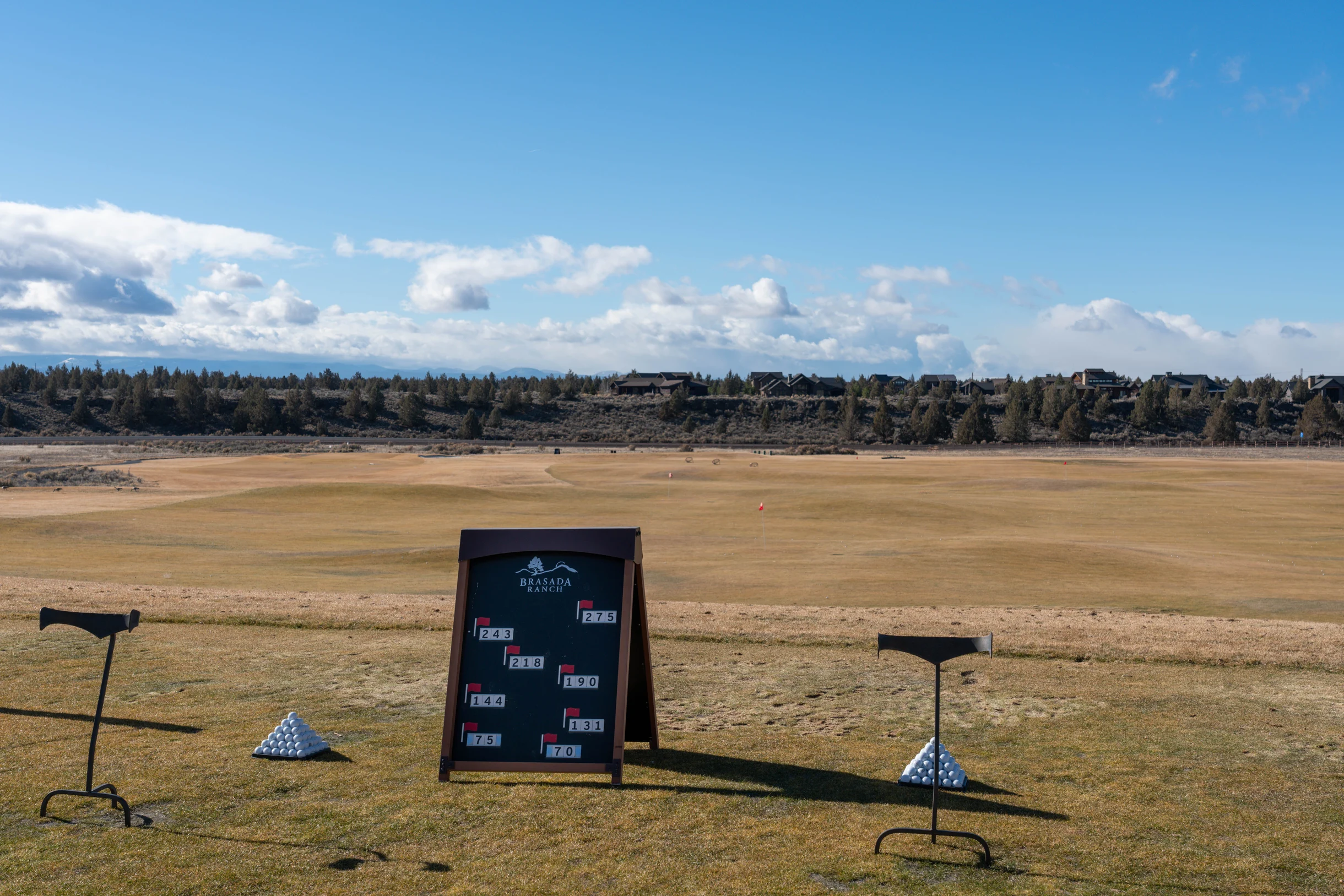 Wander Powell Butte Pines #45