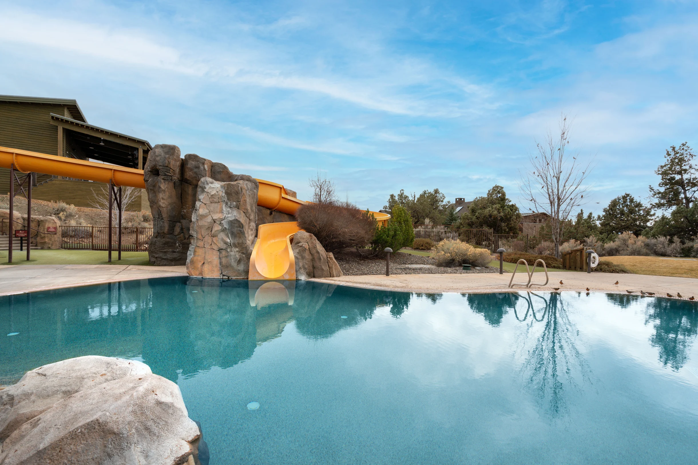 Wander Powell Butte Pines #32