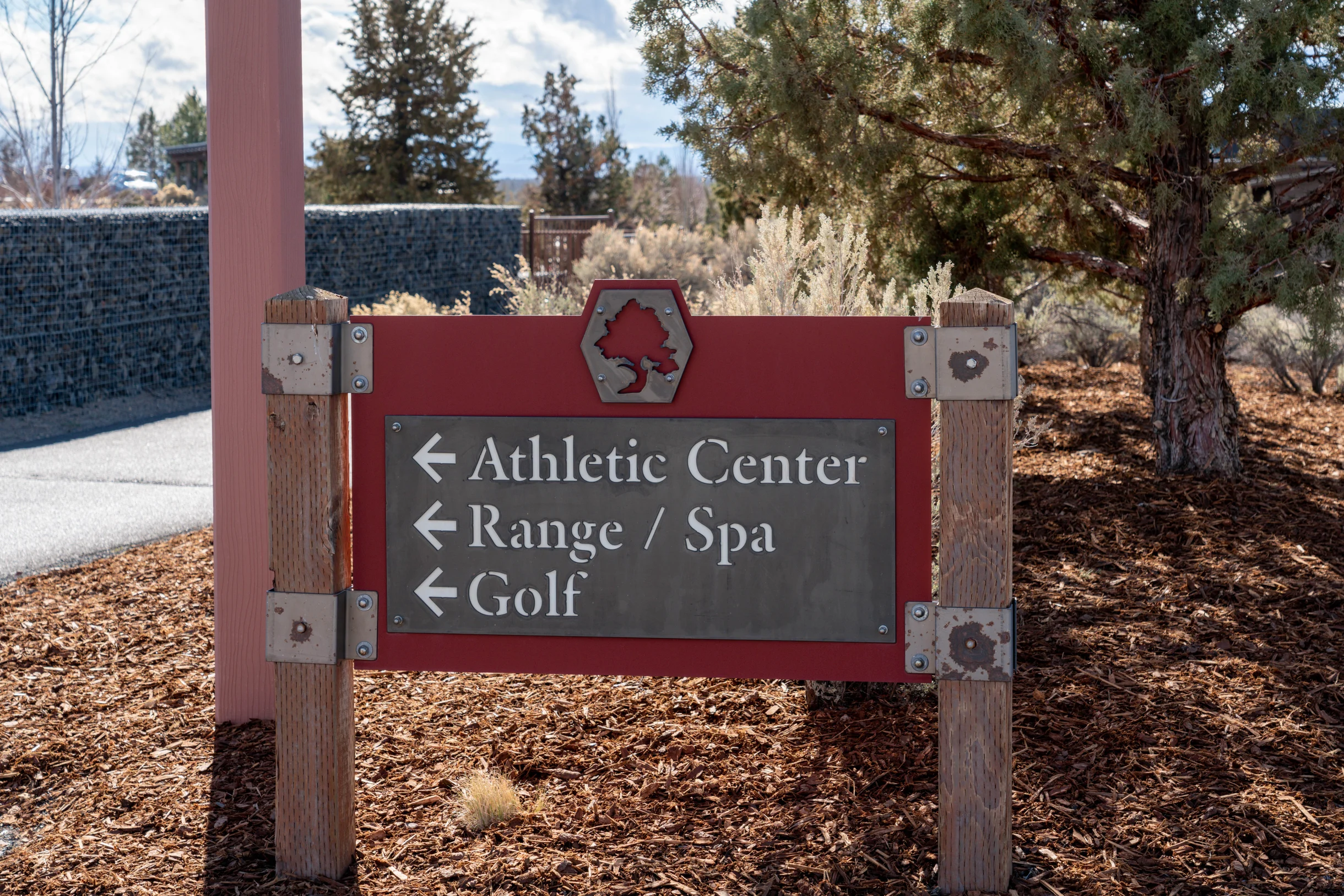 Wander Powell Butte Pines #8