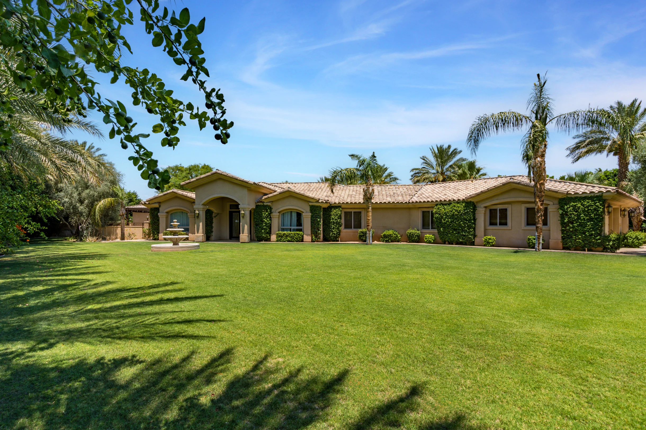 Wander Indio Date Palm #5