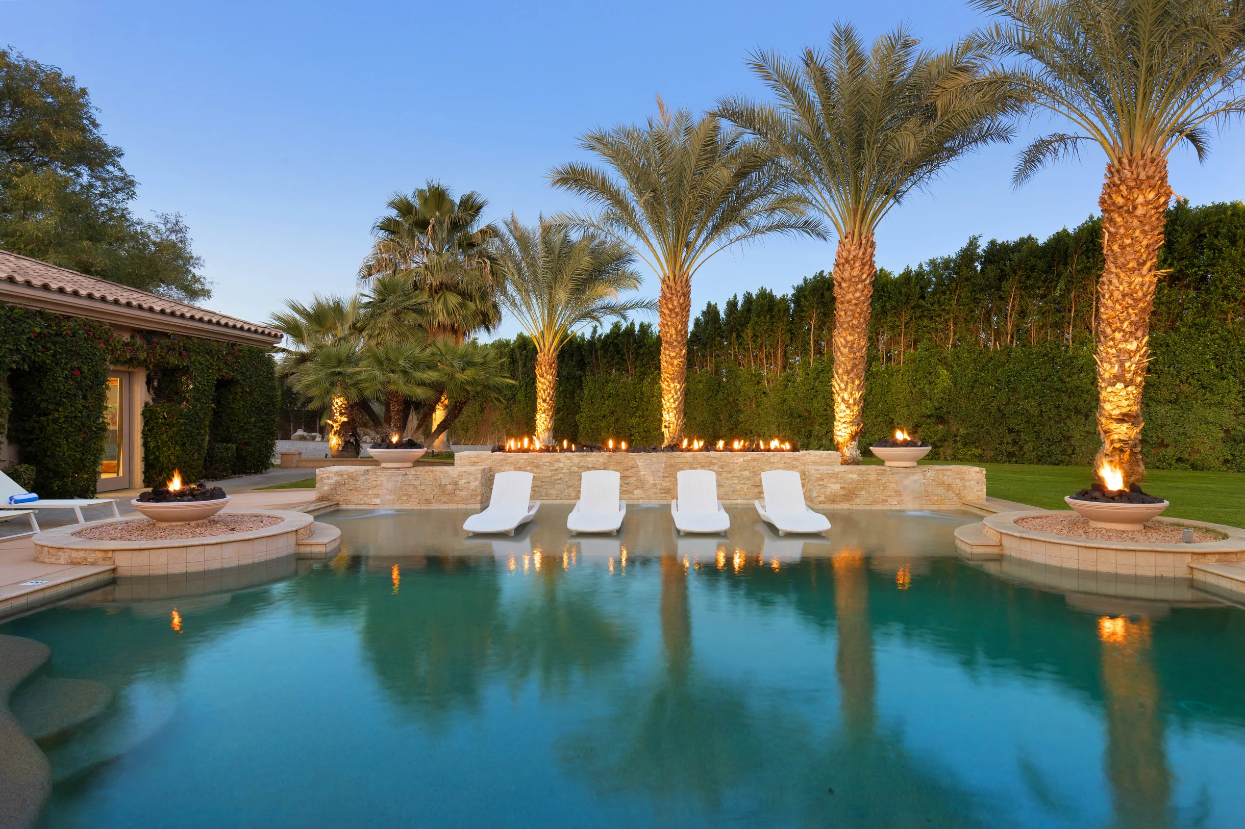 Wander Indio Date Palm #26