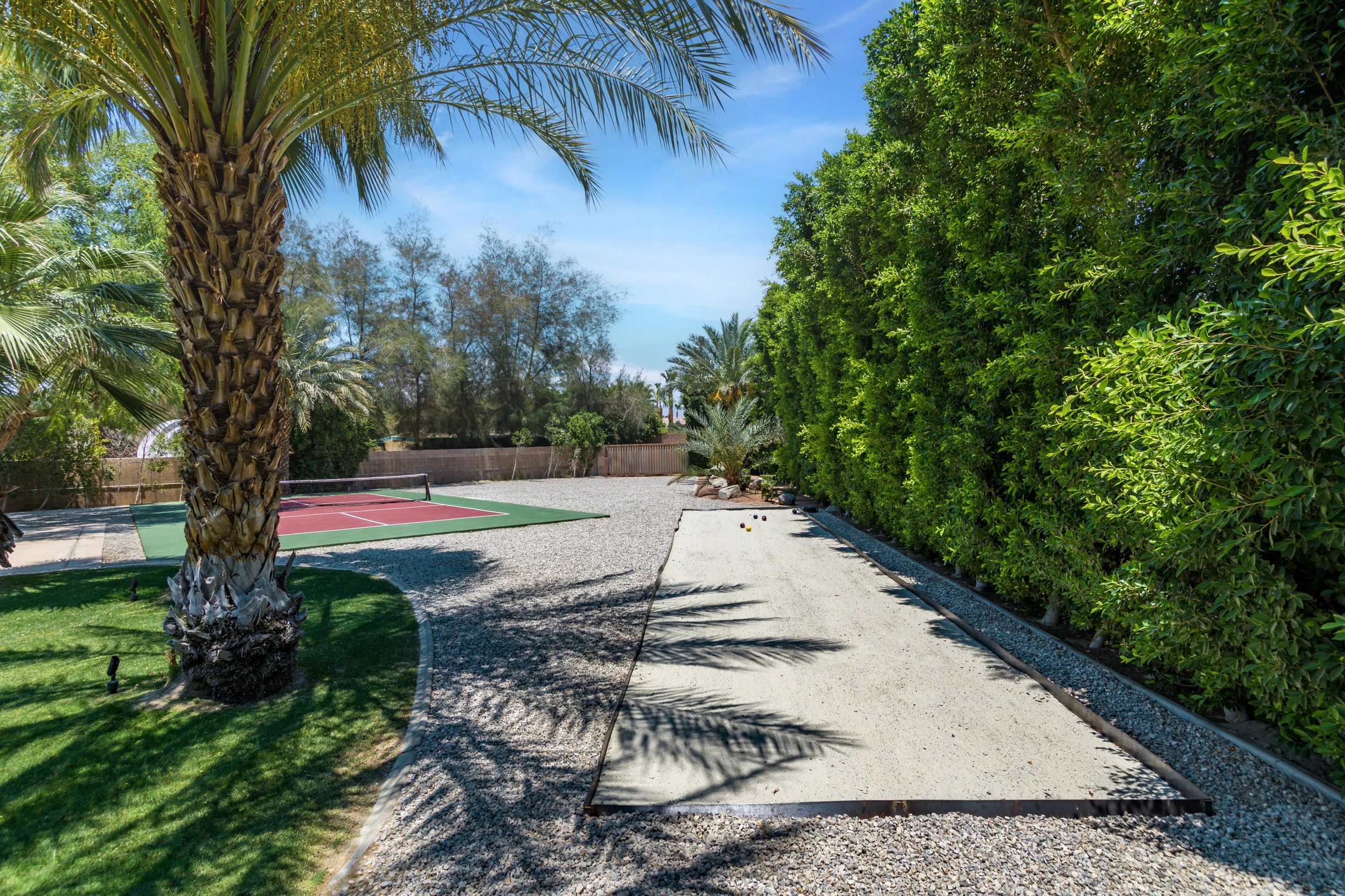 Wander Indio Date Palm #46