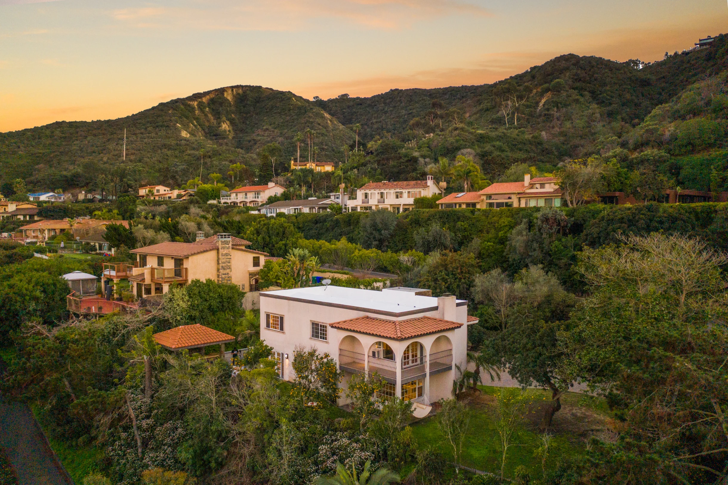 Wander La Jolla Pines #1