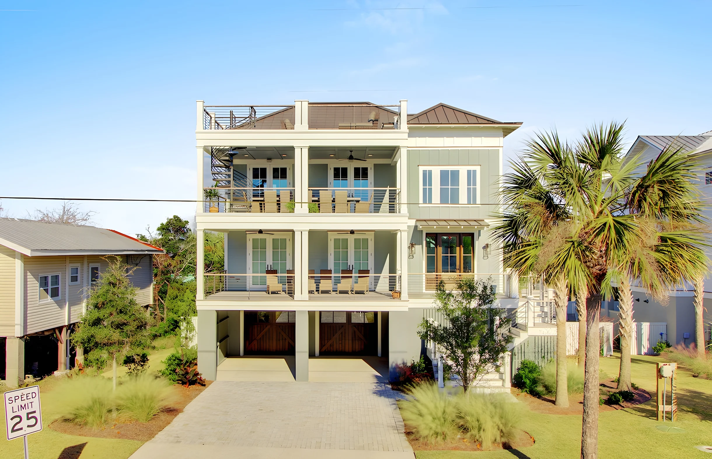 Wander Palms Glow #1