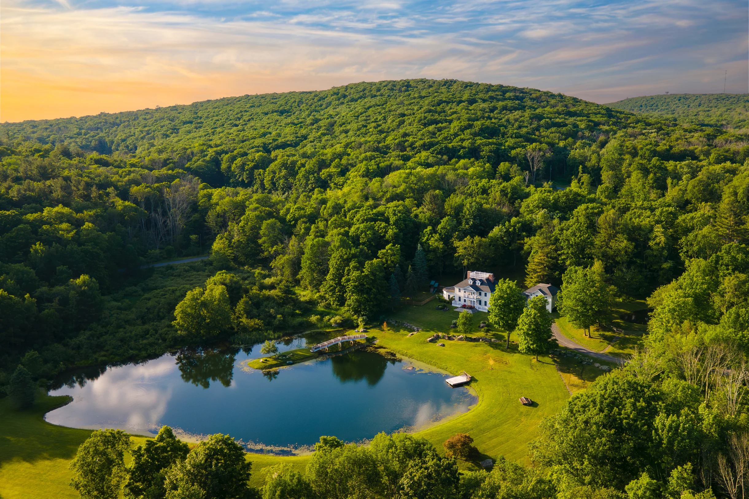 Wander Austerlitz Woods #2